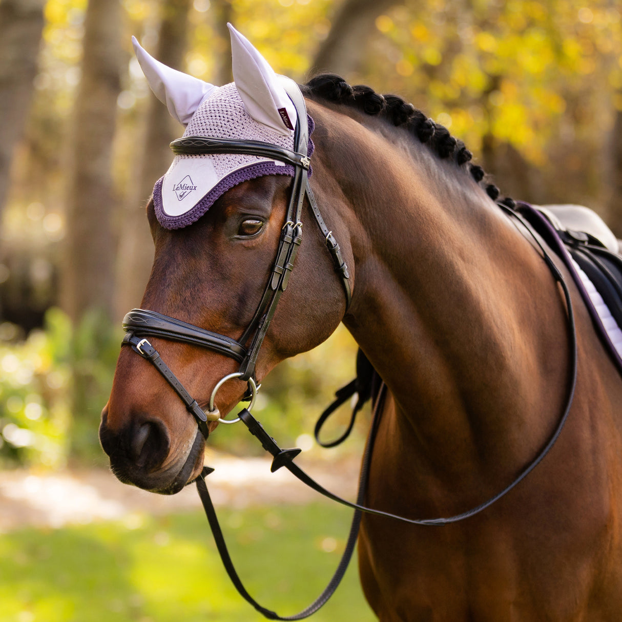 LeMieux Classic Fly Veil