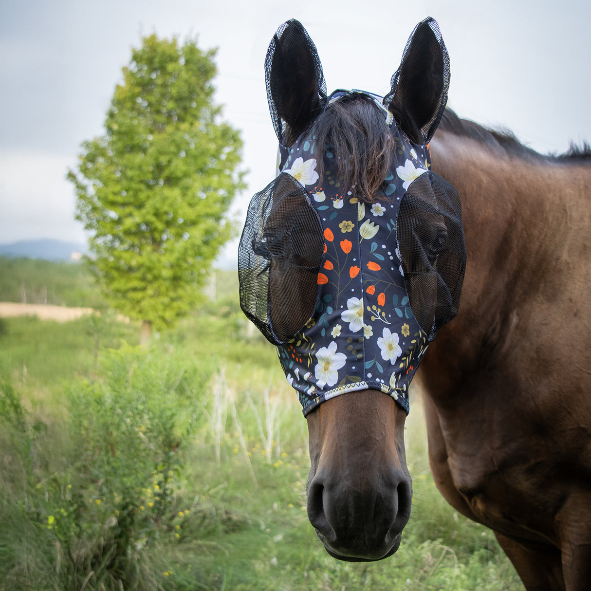 Masque anti-mouches Supra en Lycra avec ouverture pour la mèche