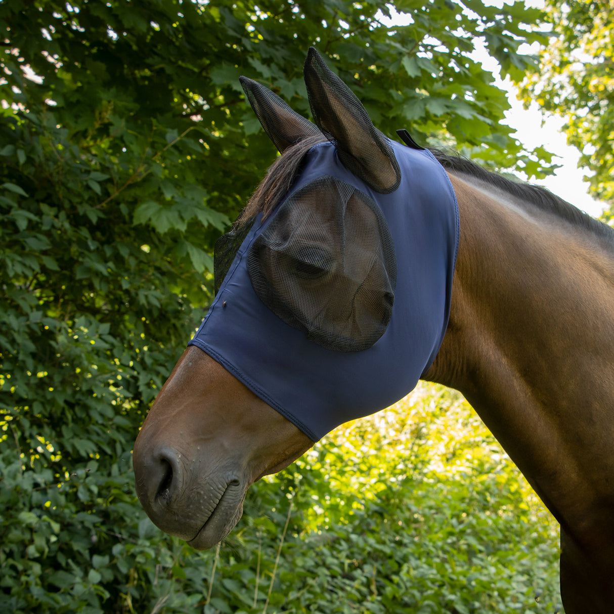 Supra Lycra Fly Mask W/ Forelock Hole