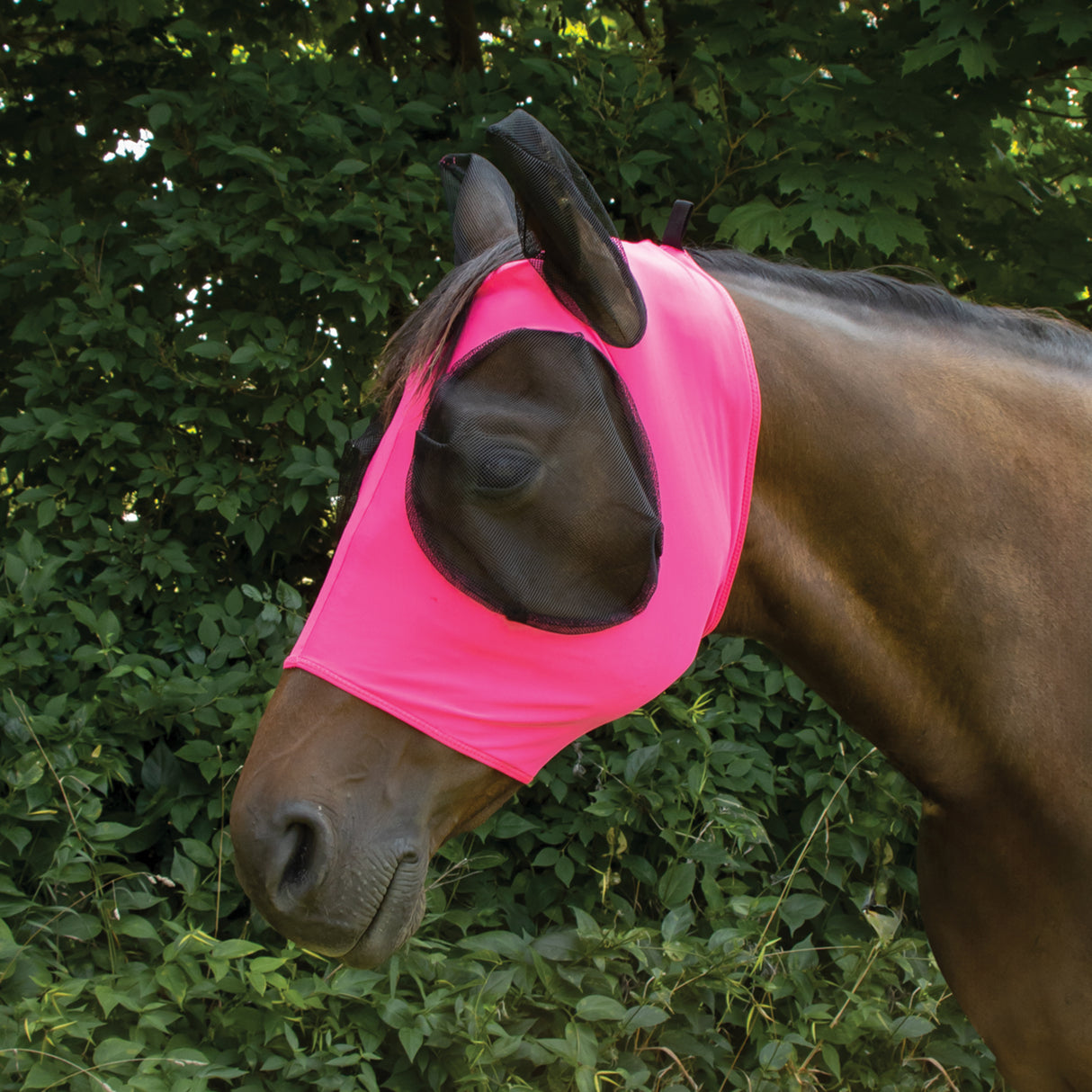 Masque anti-mouches Supra en Lycra avec ouverture pour la mèche