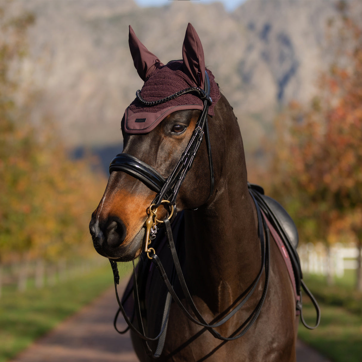 LeMieux Essence Fly Veil