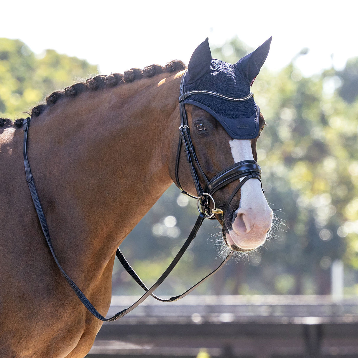 LeMieux Essence Acoustic Fly Veil