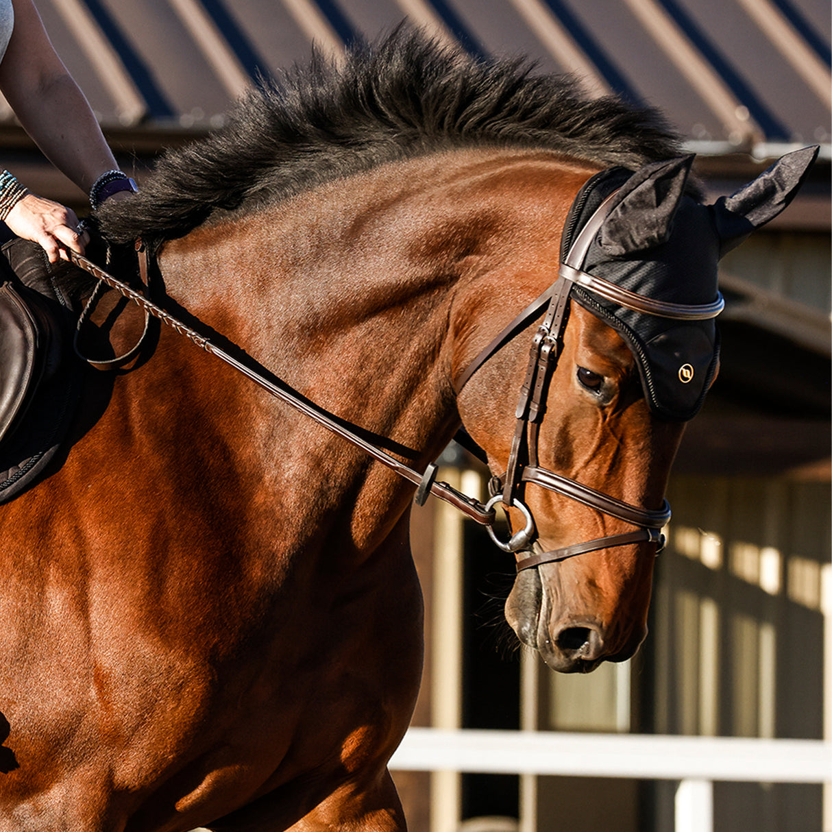 Back on Track Deep Nights Collection Fly Veil