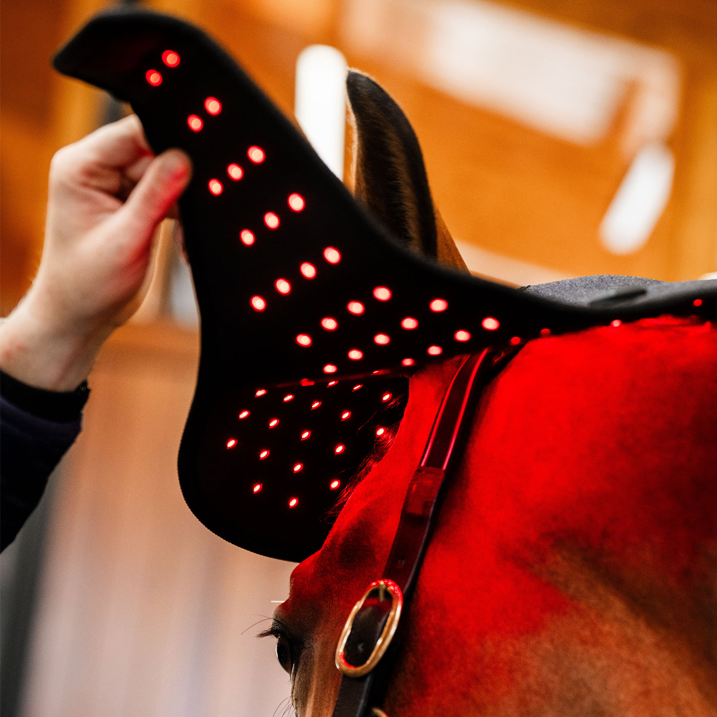 Casquette de luminothérapie à LED rouge Horseware
