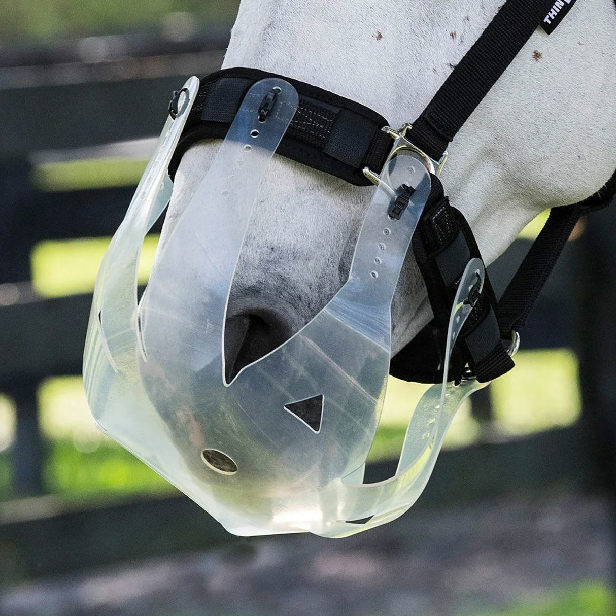 ThinLine Flexible Filly Grazing Muzzle
