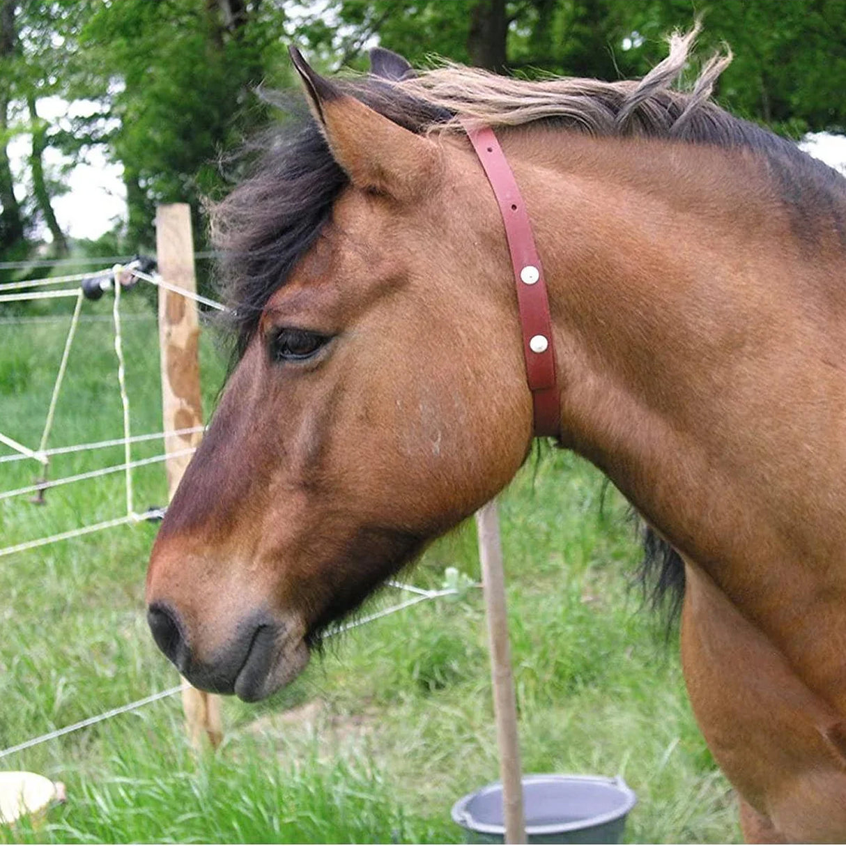 Alzoo Herbal Horse Collar