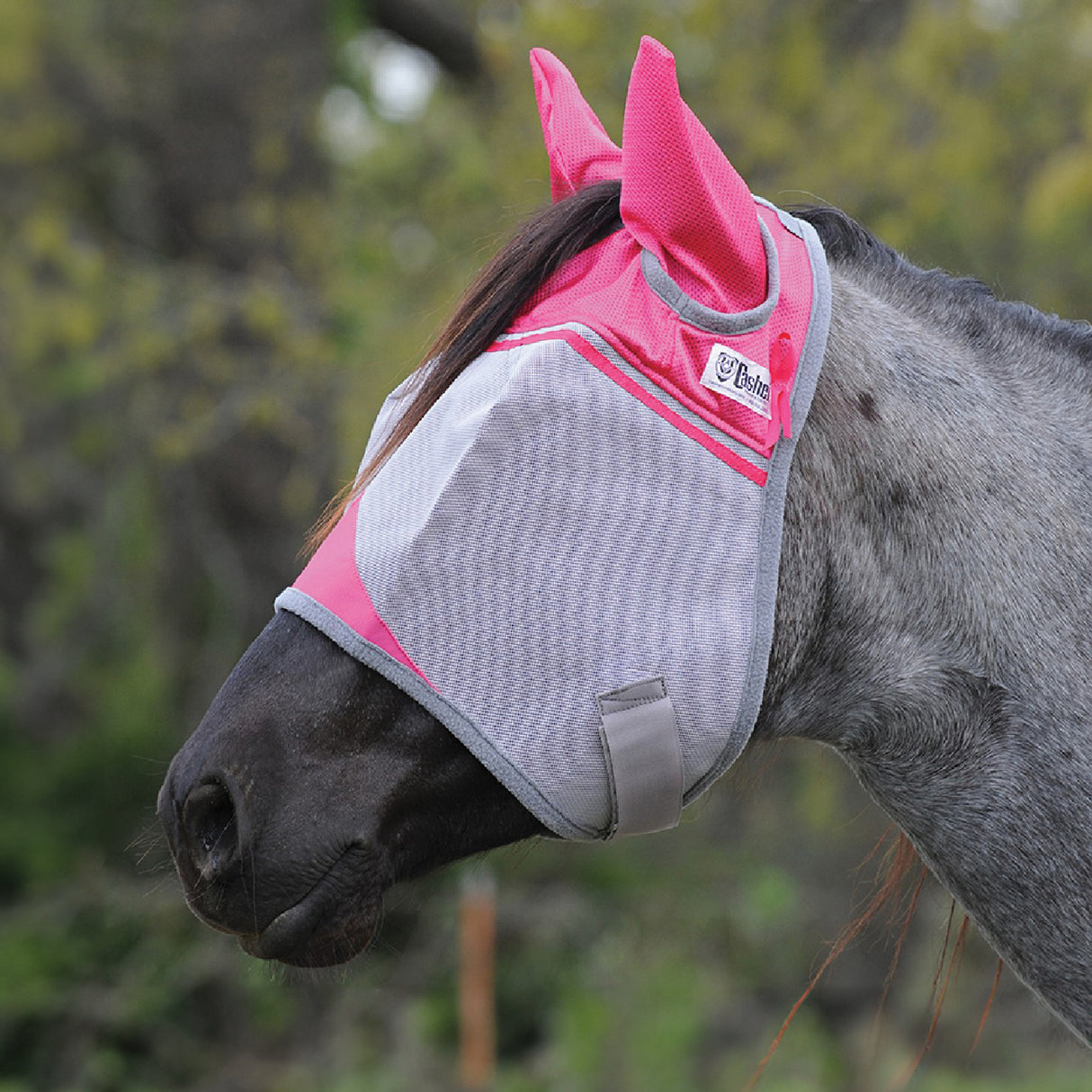 Cashel Crusader Fly Mask W/ Ears