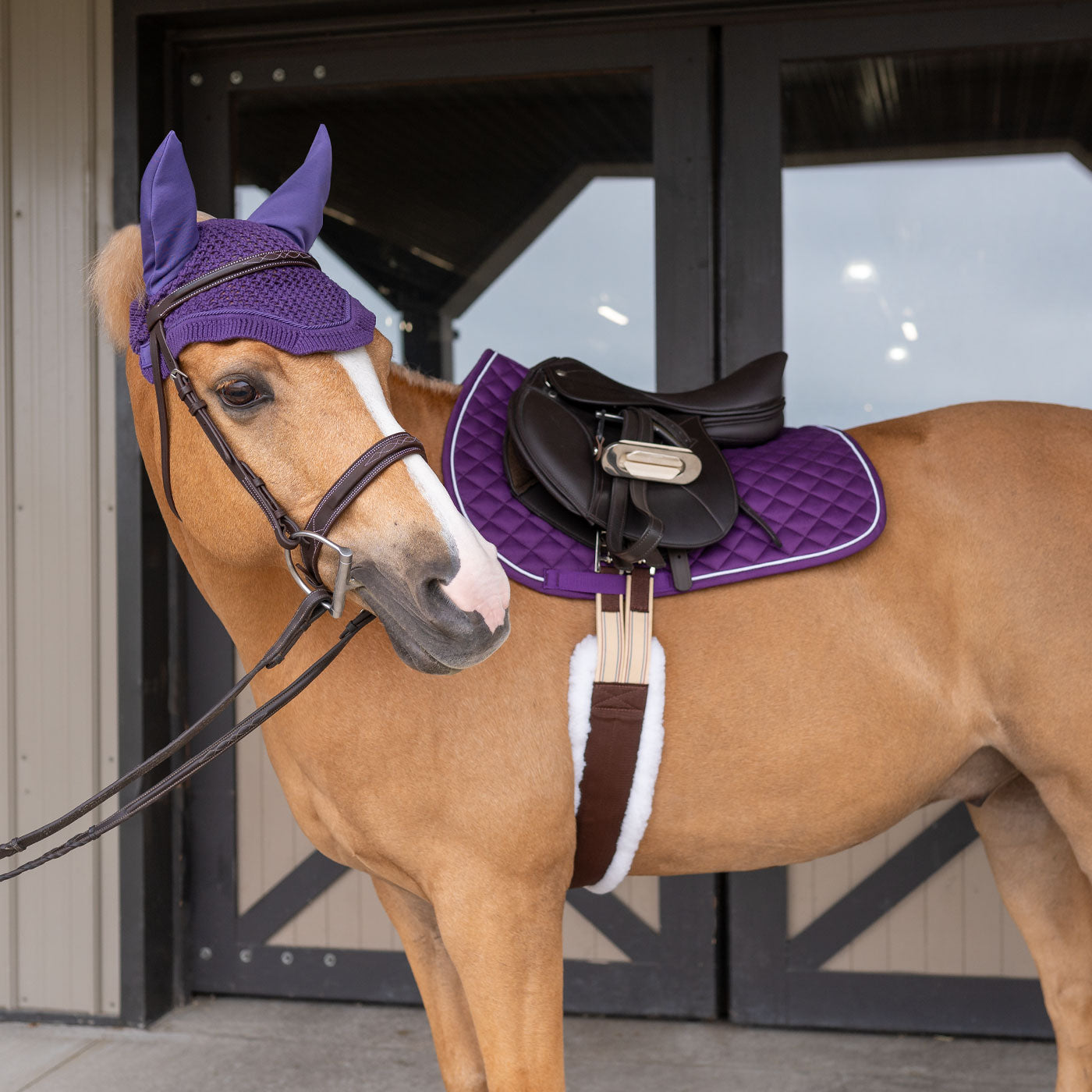 Tapis de selle pour poney Shedrow Original