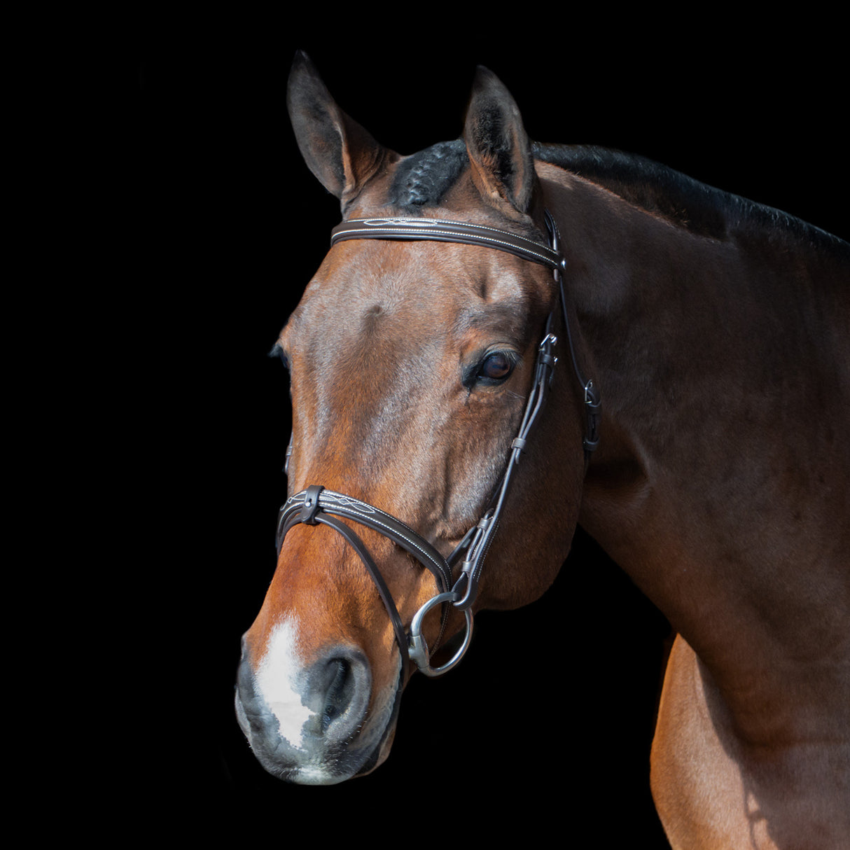 Val du Bois Padded Fancy Stitched Bridle W/ Removable Flash