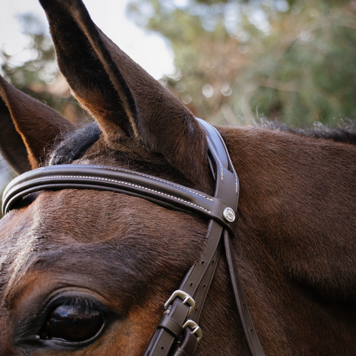 Val du Bois Padded Fancy Stitched Bridle W/ Removable Flash