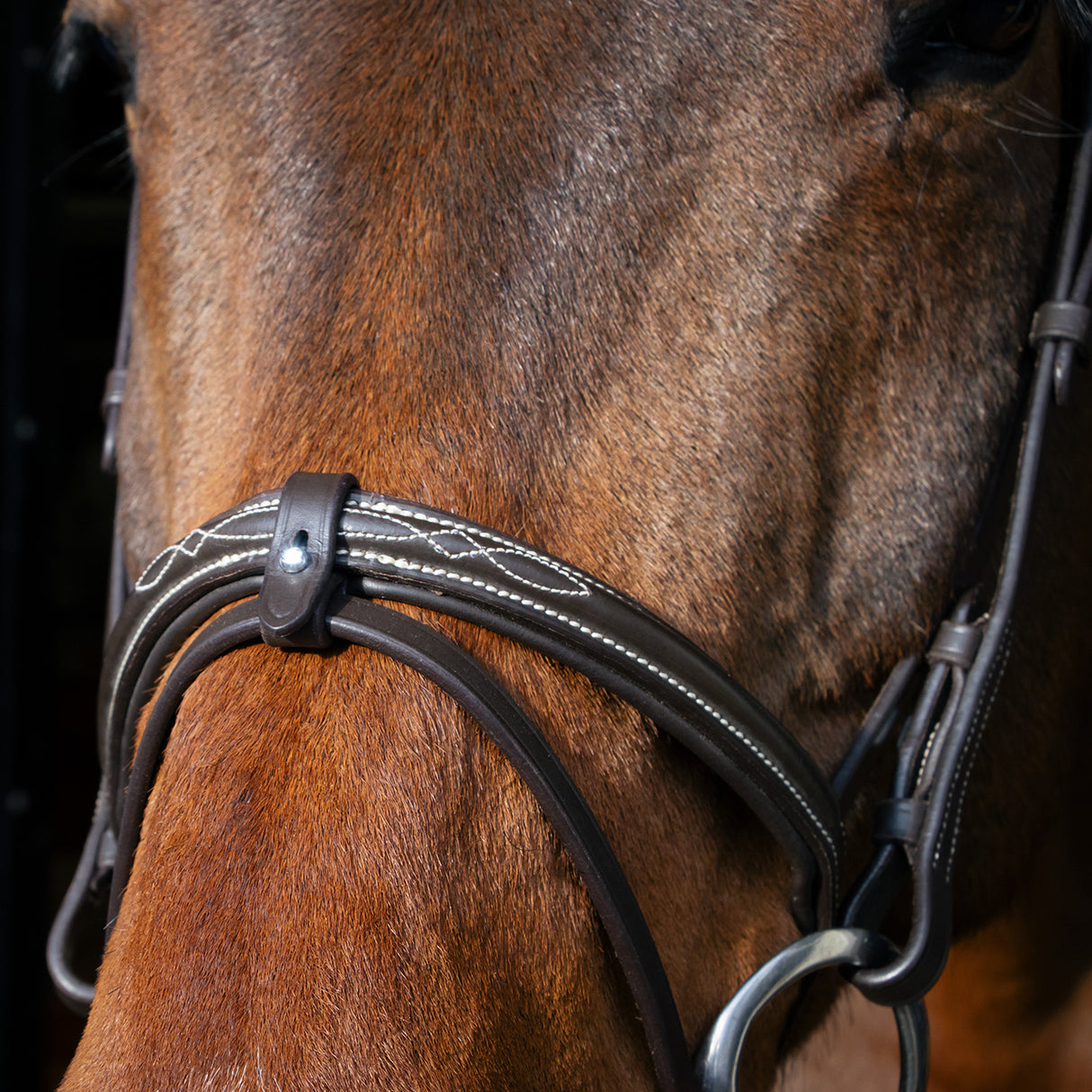 Val du Bois Padded Fancy Stitched Bridle W/ Removable Flash