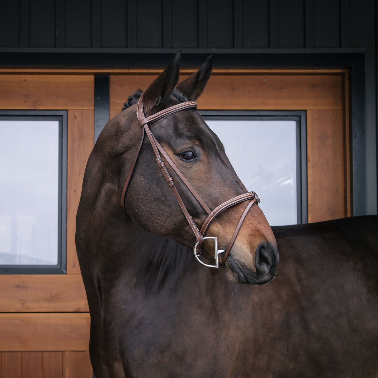 Val du Bois Padded Fancy Stitched Bridle W/ Removable Flash