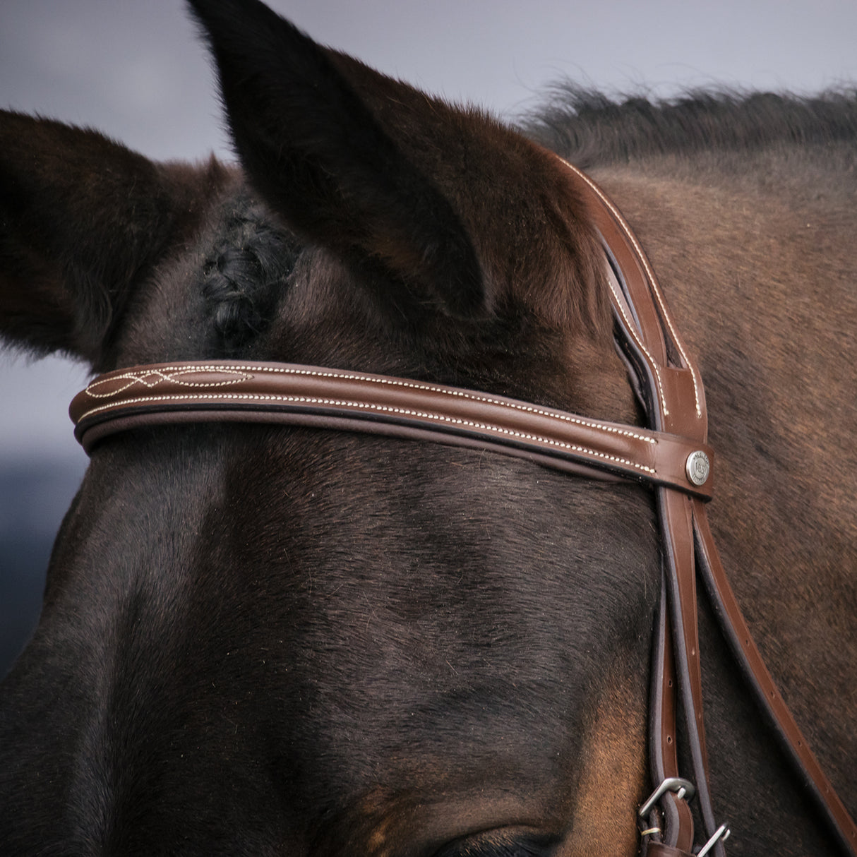 Val du Bois Padded Fancy Stitched Bridle W/ Removable Flash