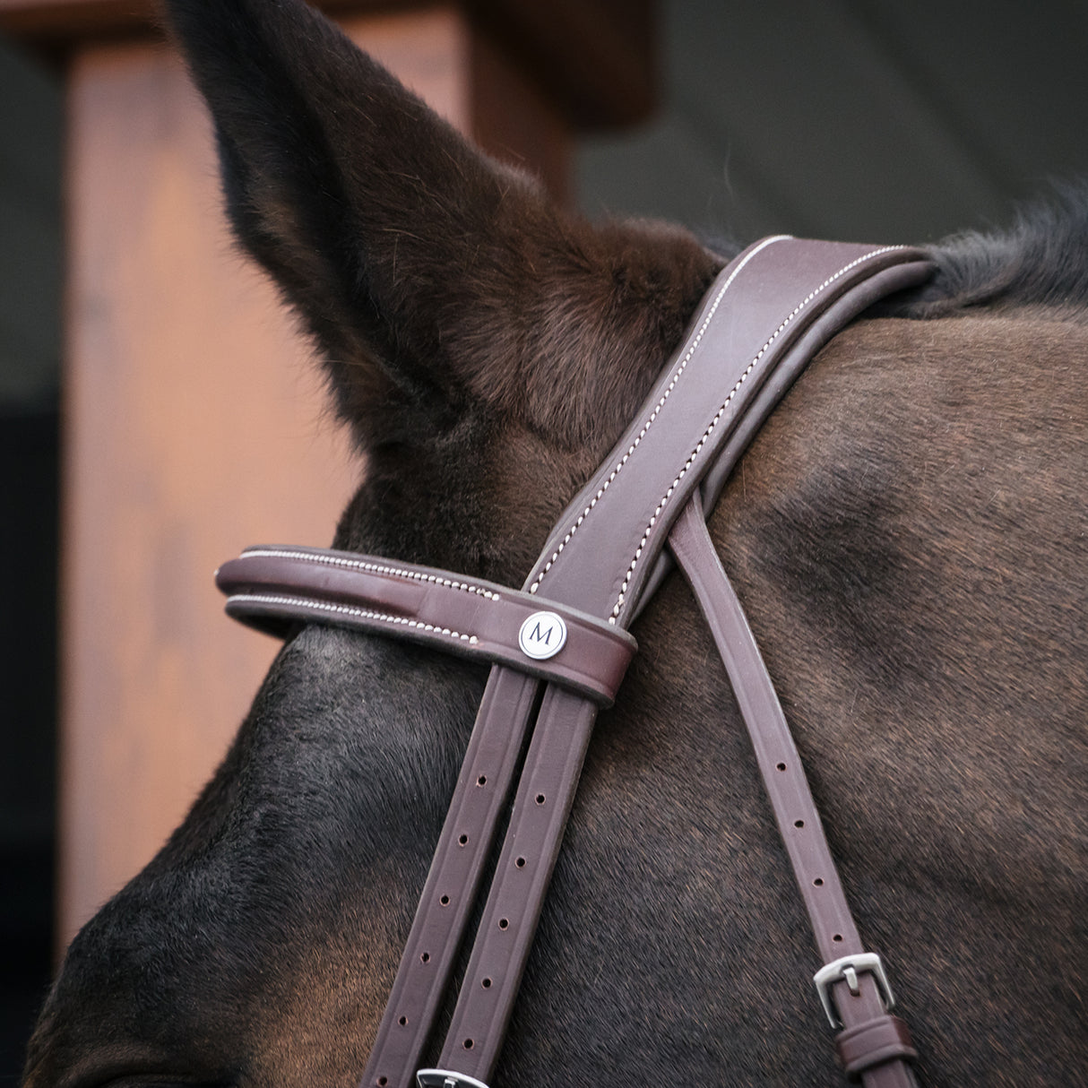 Mondega Gayo Classic Hunter Bridle