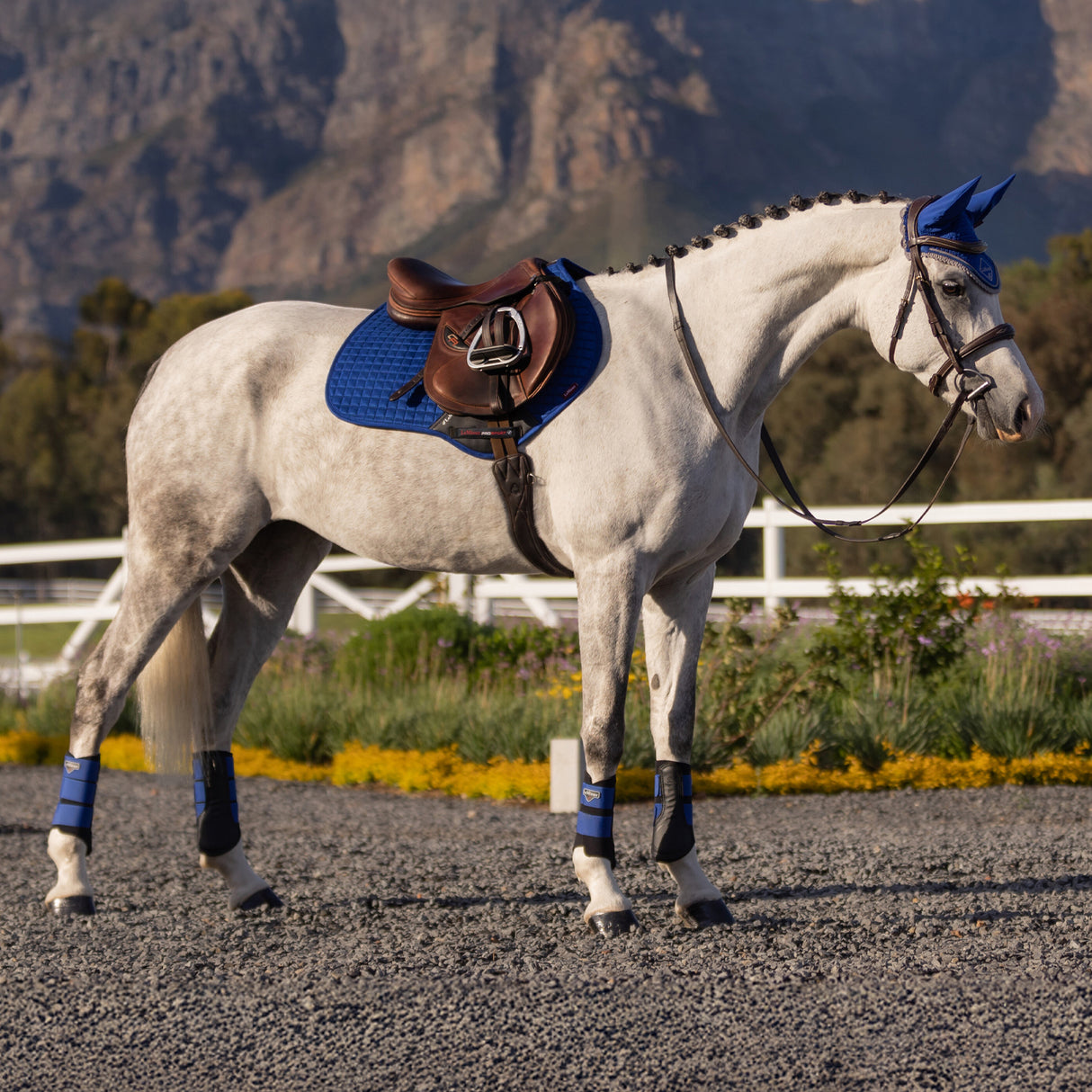 LeMieux Suede Close Contact Square Saddle Pad