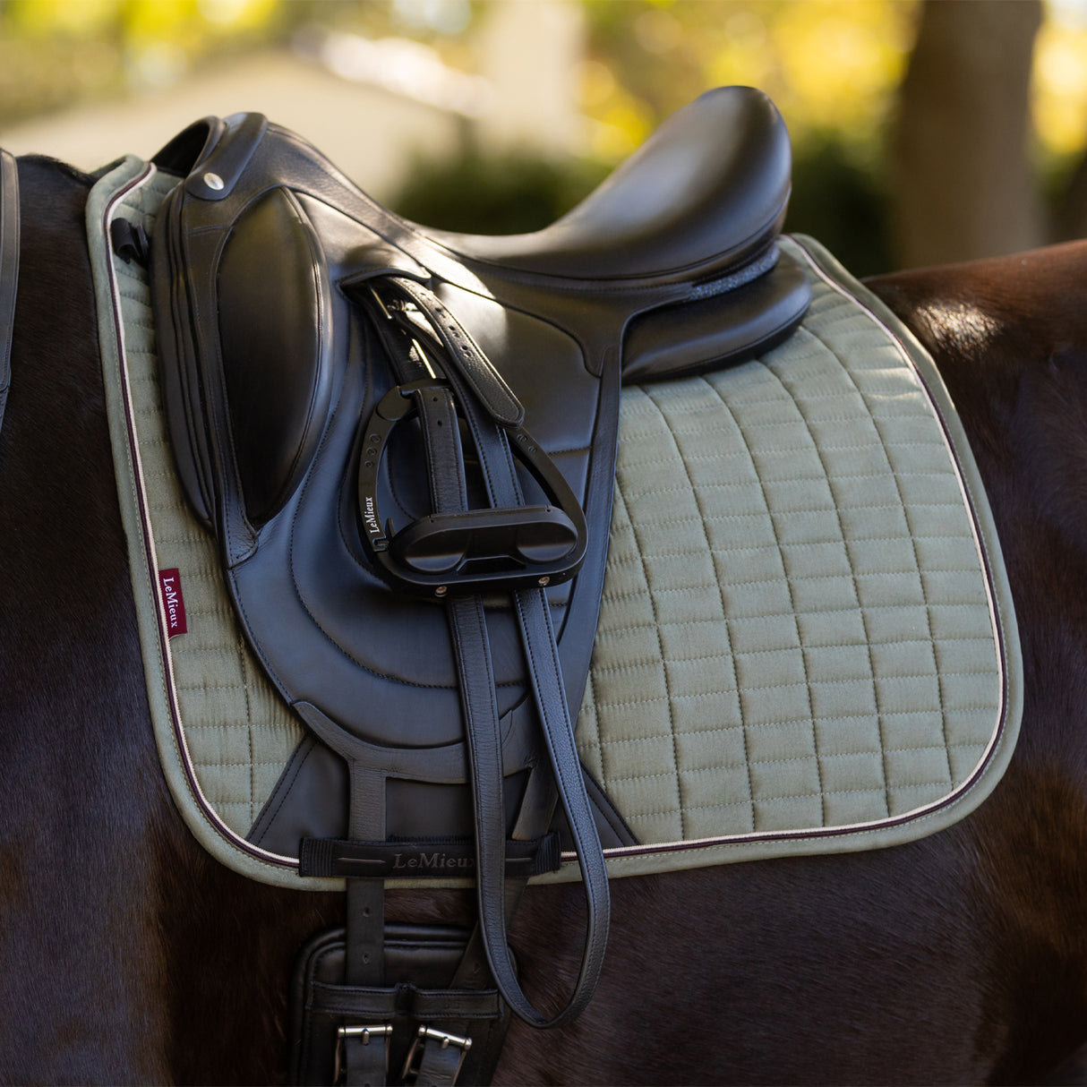 LeMieux Suede Dressage Square Saddle Pad