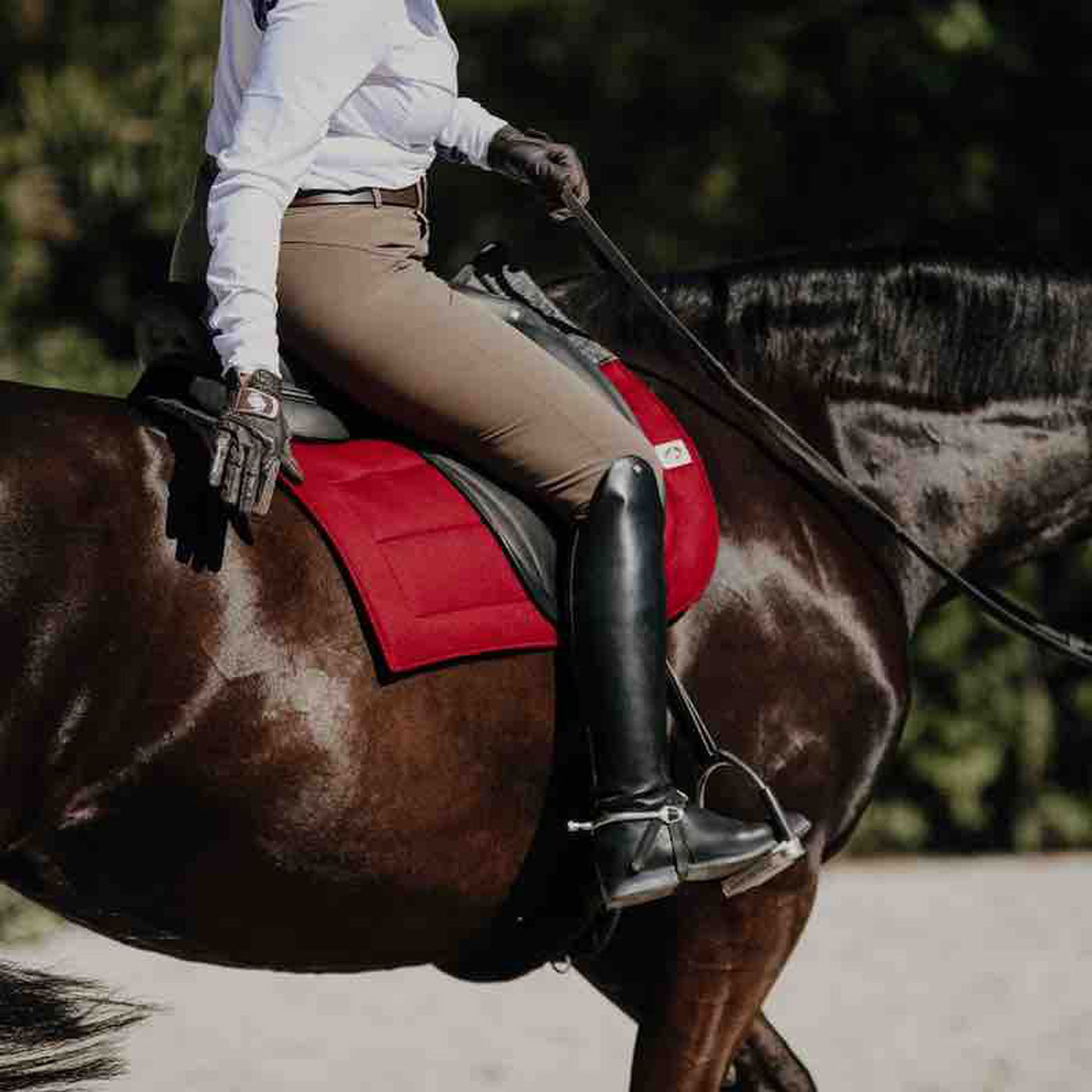 EcoGold Secure Dressage Saddle Pad