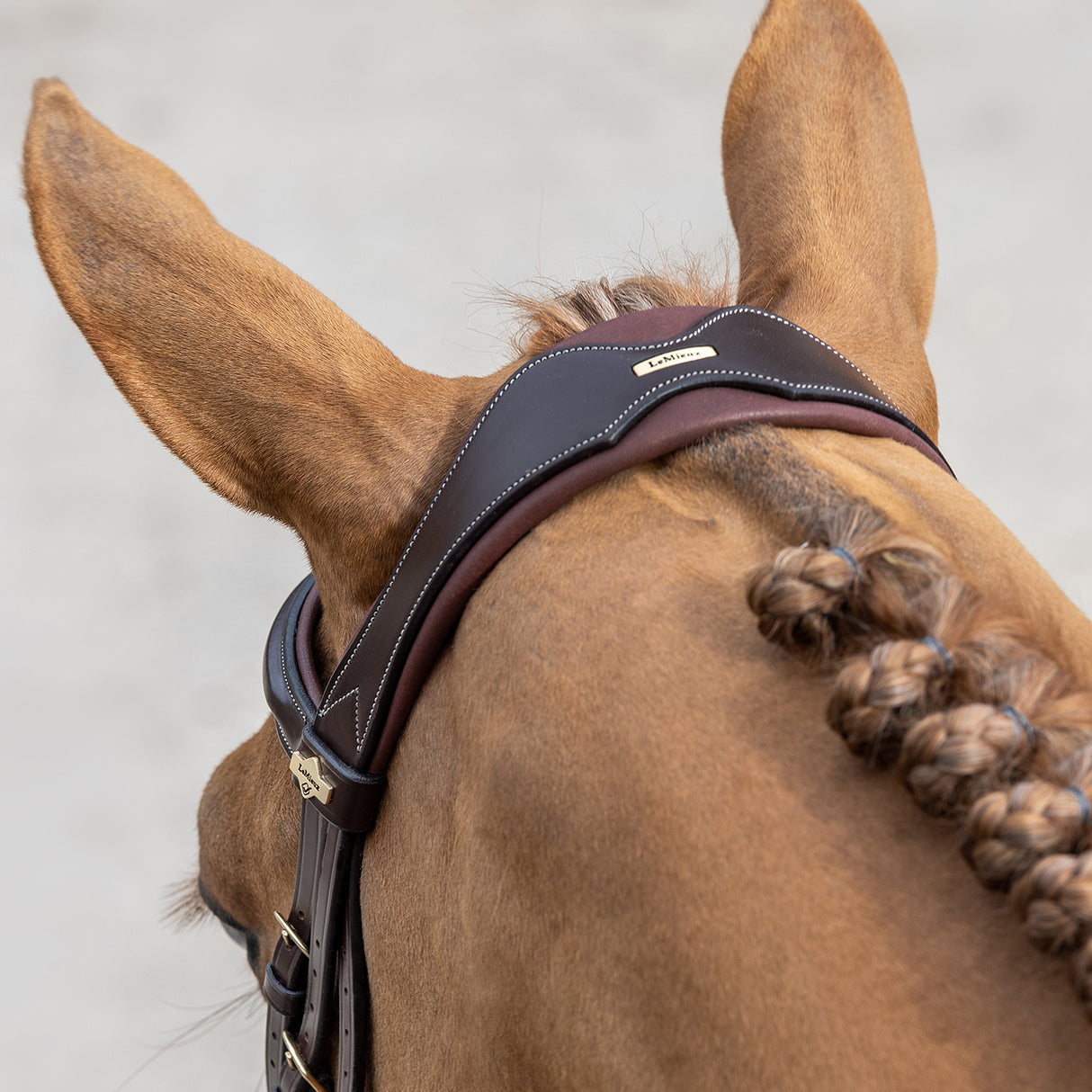 Bridon LeMieux Kudos Competition Flash