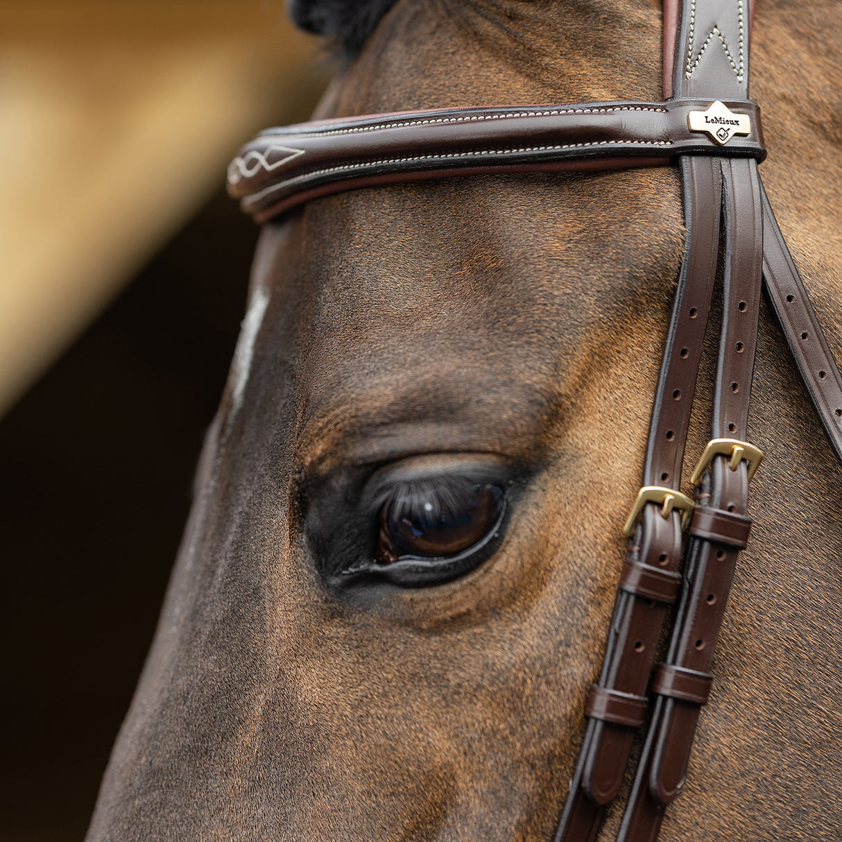 Bridon LeMieux Kudos Competition Flash