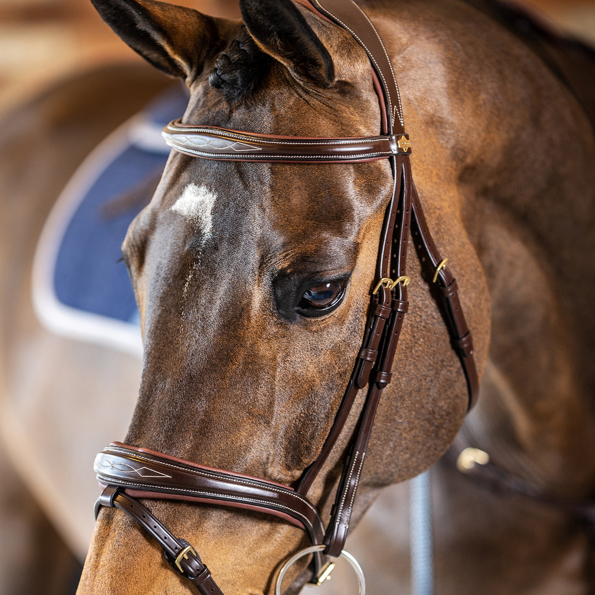 Bridon LeMieux Kudos Competition Flash