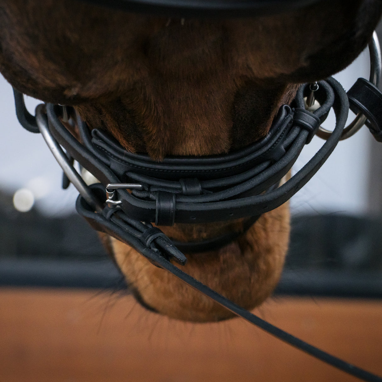 Mondega Laval Dressage Bridle