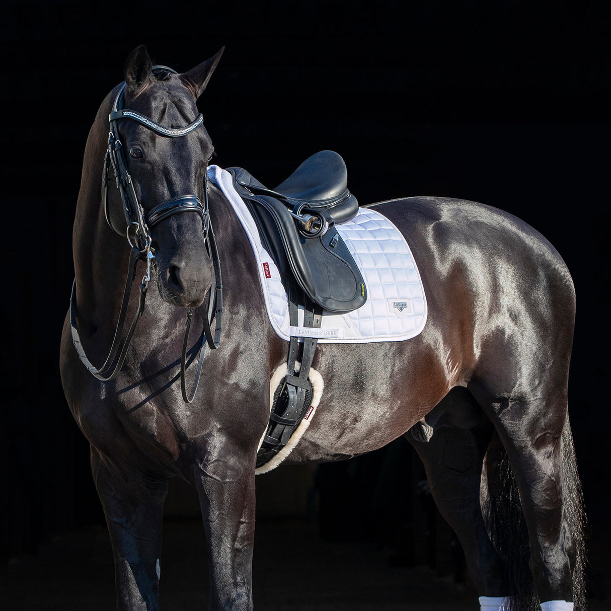 Tapis de selle carré de dressage classique LeMieux Loire