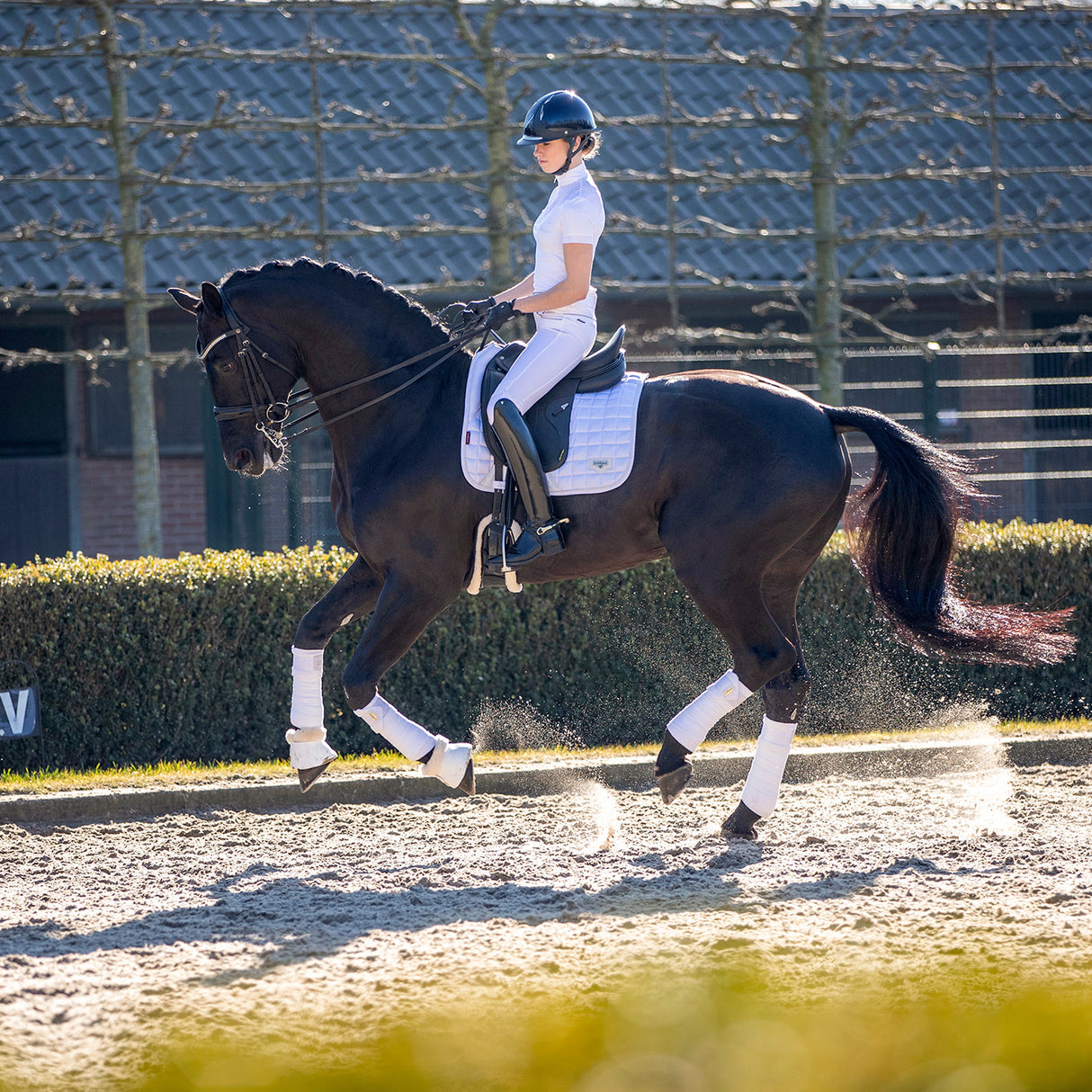 Tapis de selle carré de dressage classique LeMieux Loire