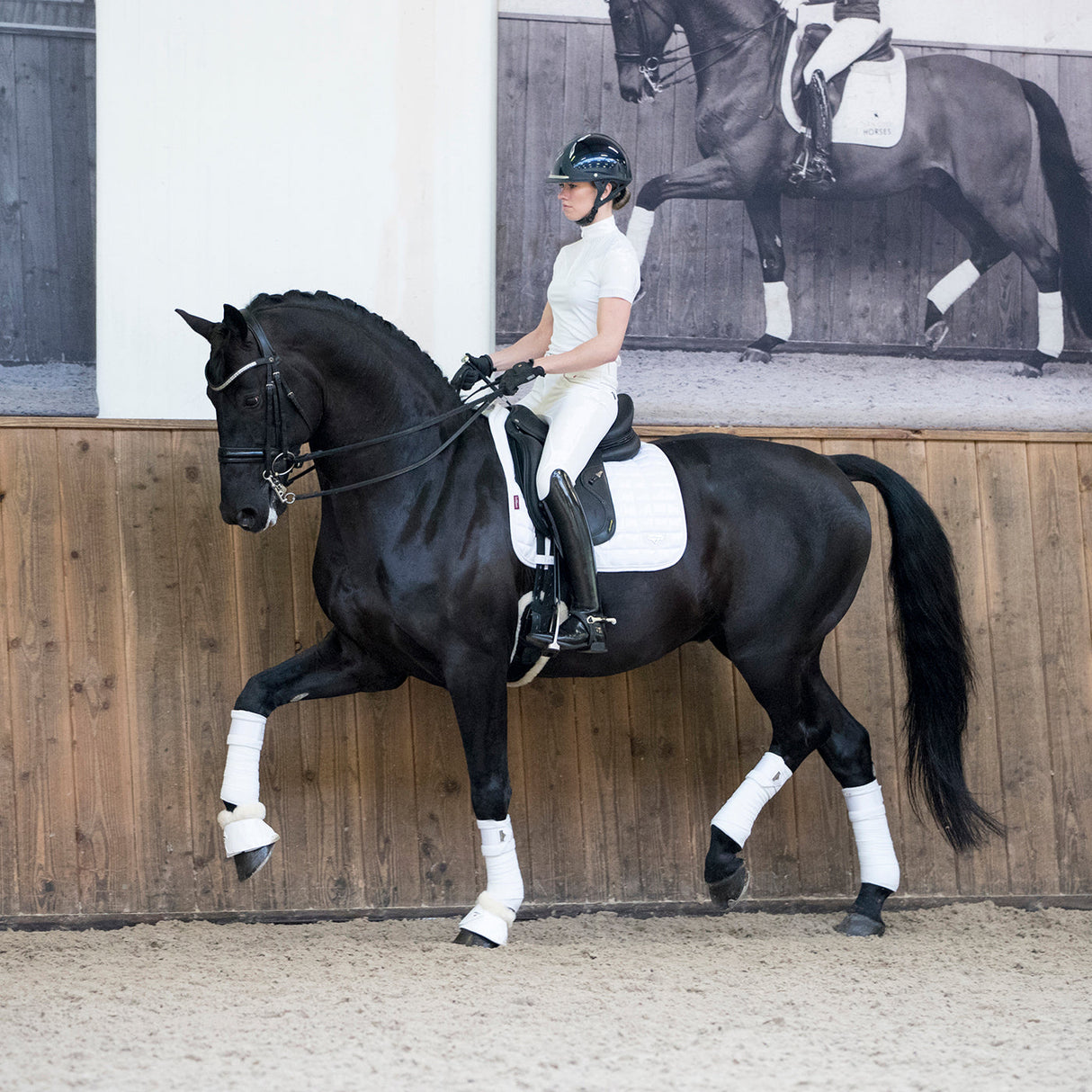Tapis de selle carré de dressage classique LeMieux Loire