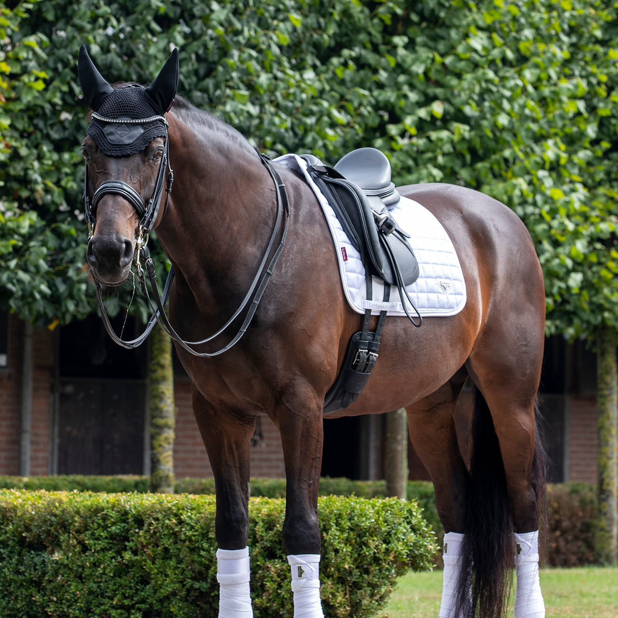Tapis de selle carré de dressage classique LeMieux Loire