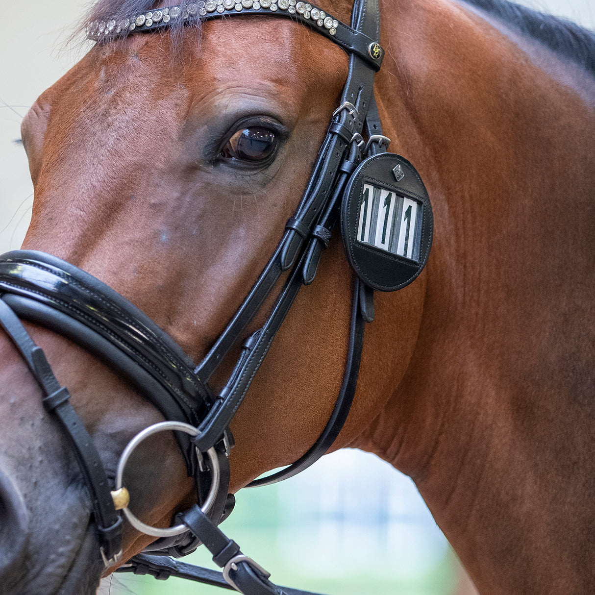 Porte-numéro de bride LeMieux