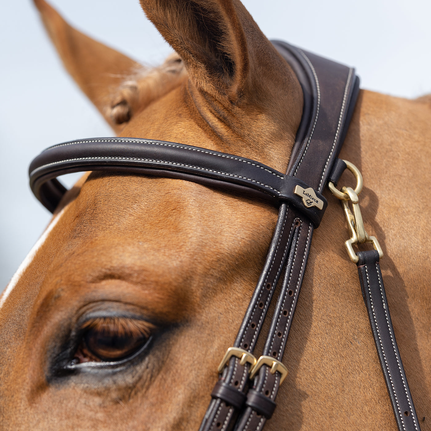 LeMieux Kudos Work Bridle