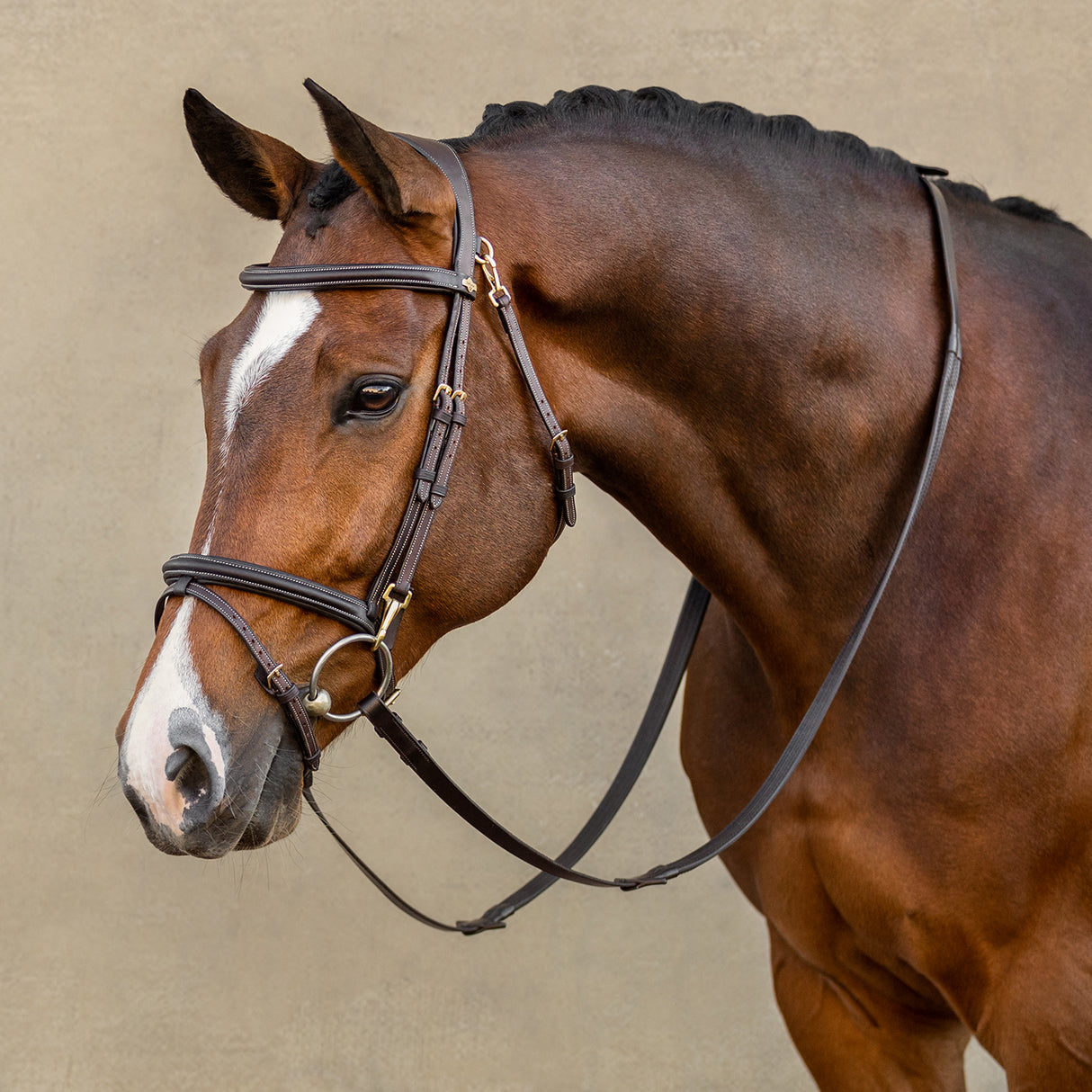 LeMieux Kudos Work Bridle