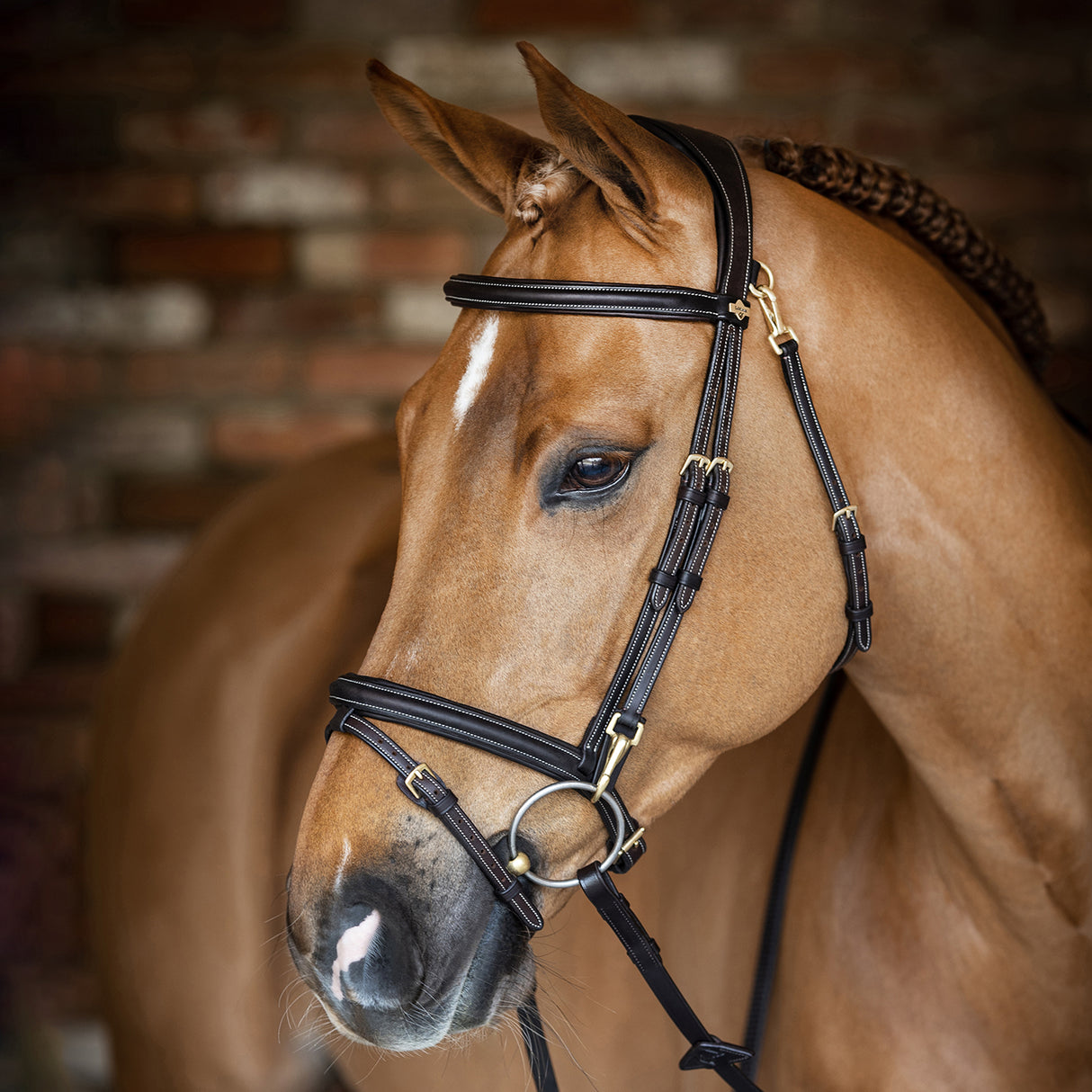 LeMieux Kudos Work Bridle