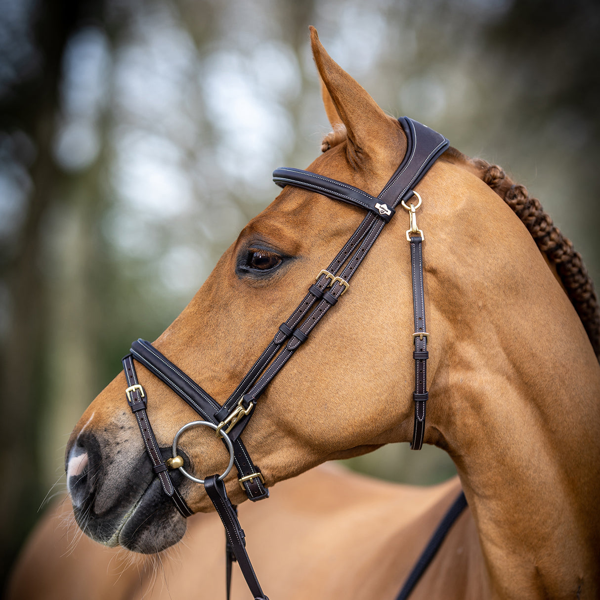 LeMieux Kudos Work Bridle
