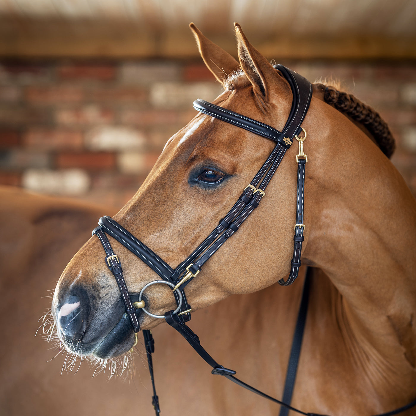 LeMieux Kudos Work Bridle