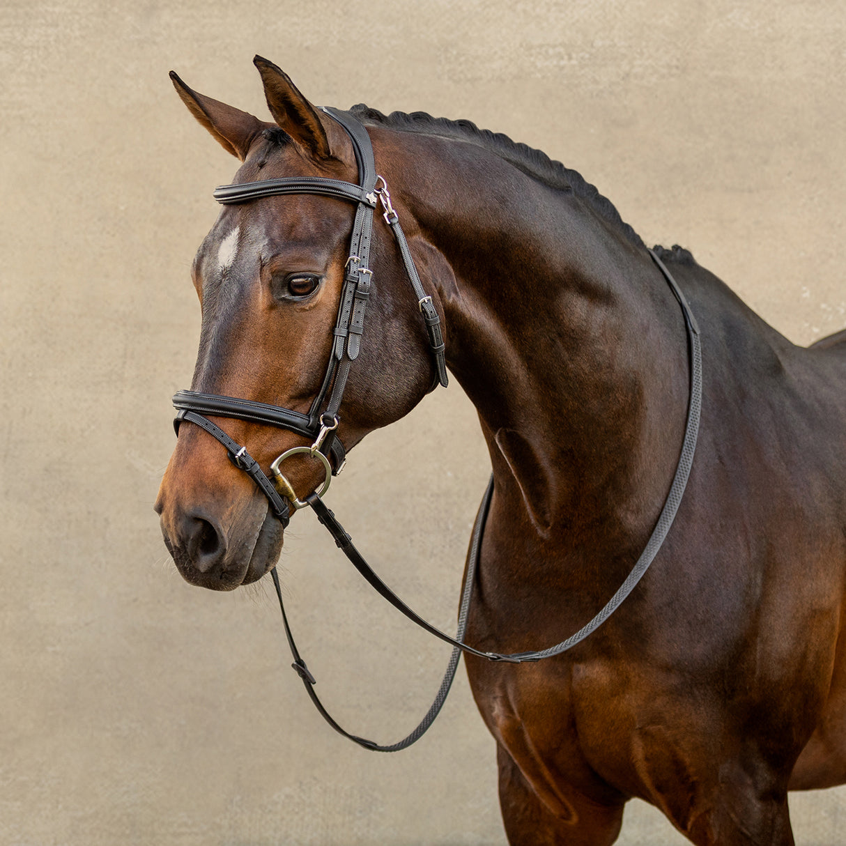 LeMieux Kudos Work Bridle