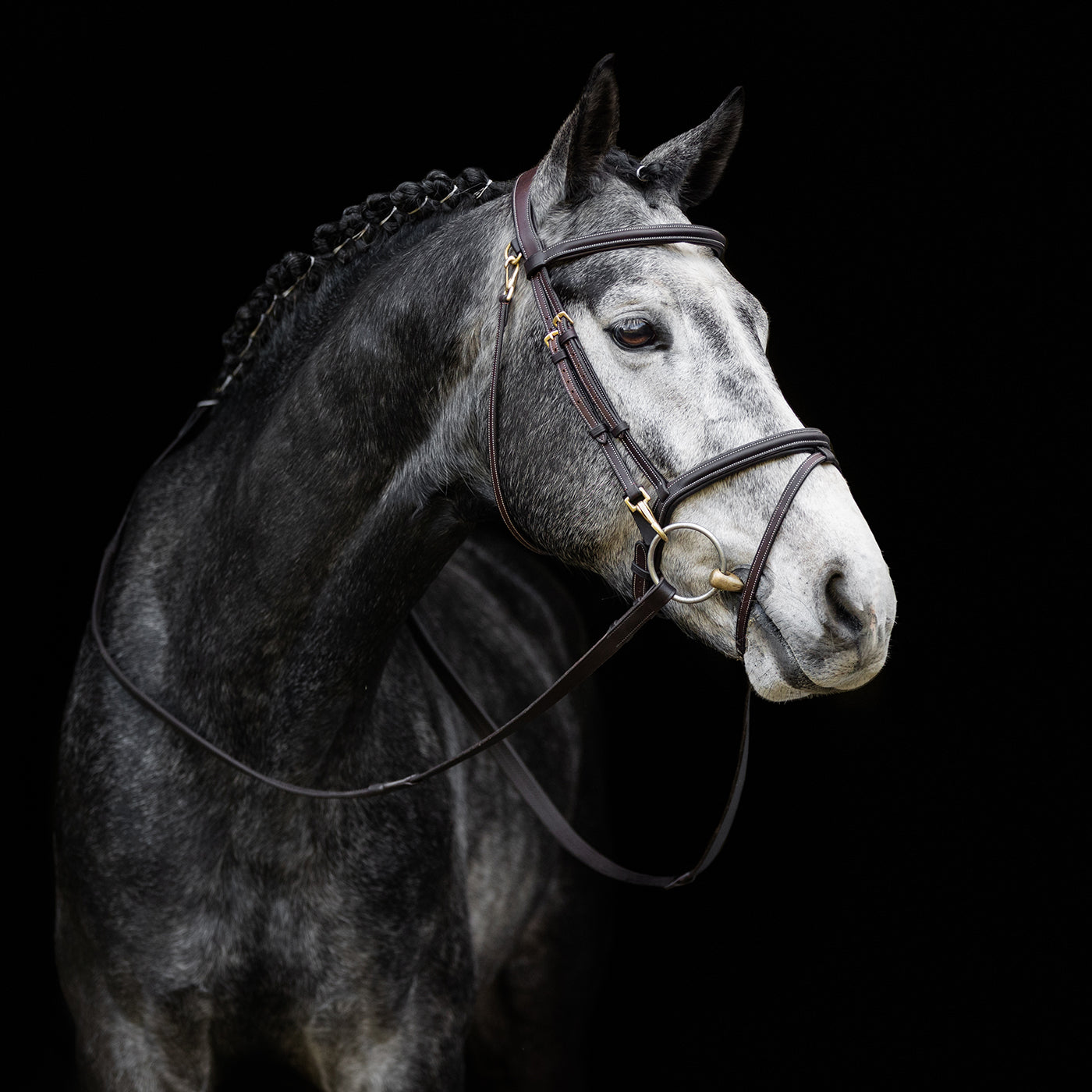 LeMieux Kudos Work Bridle