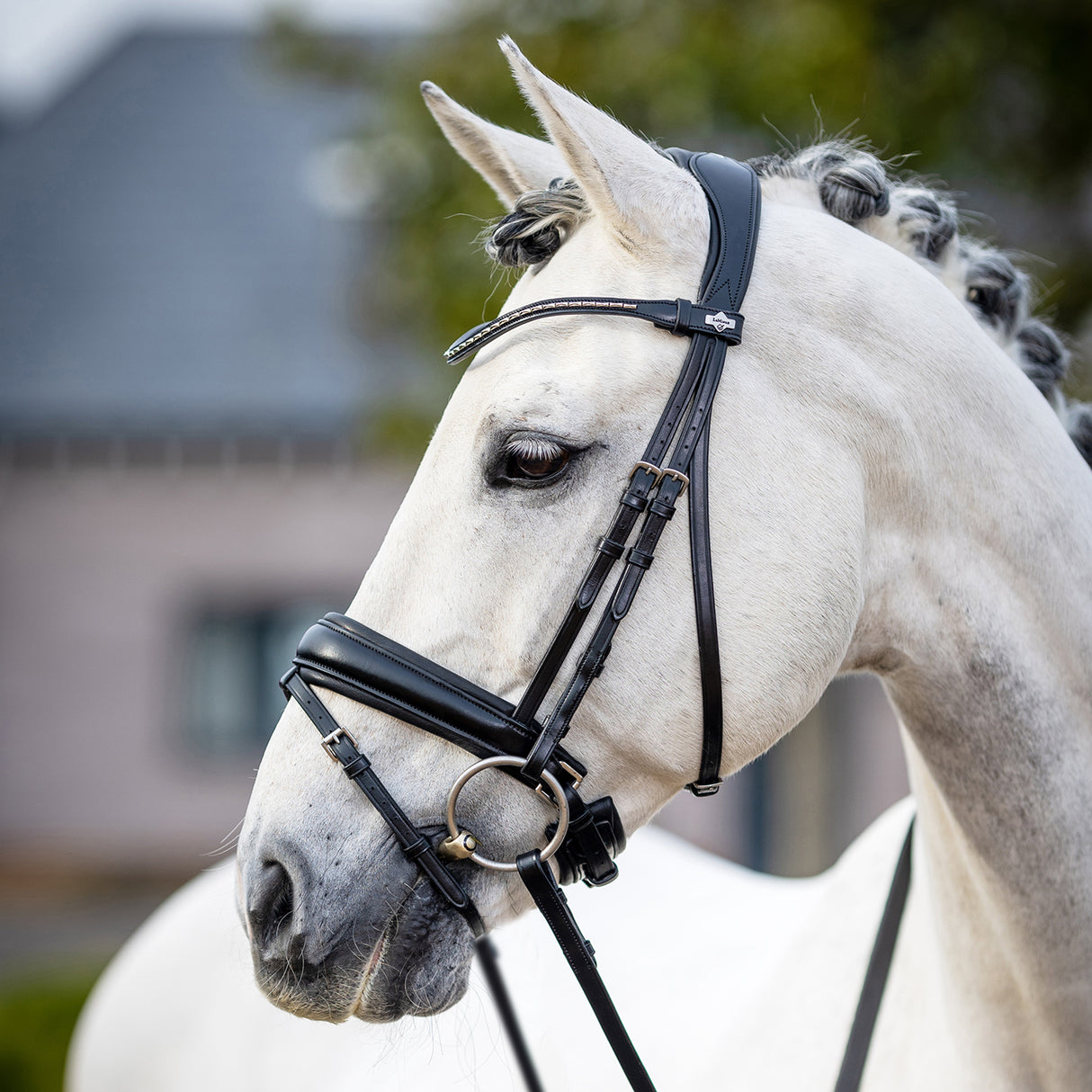 Bride de dressage classique LeMieux Kudos