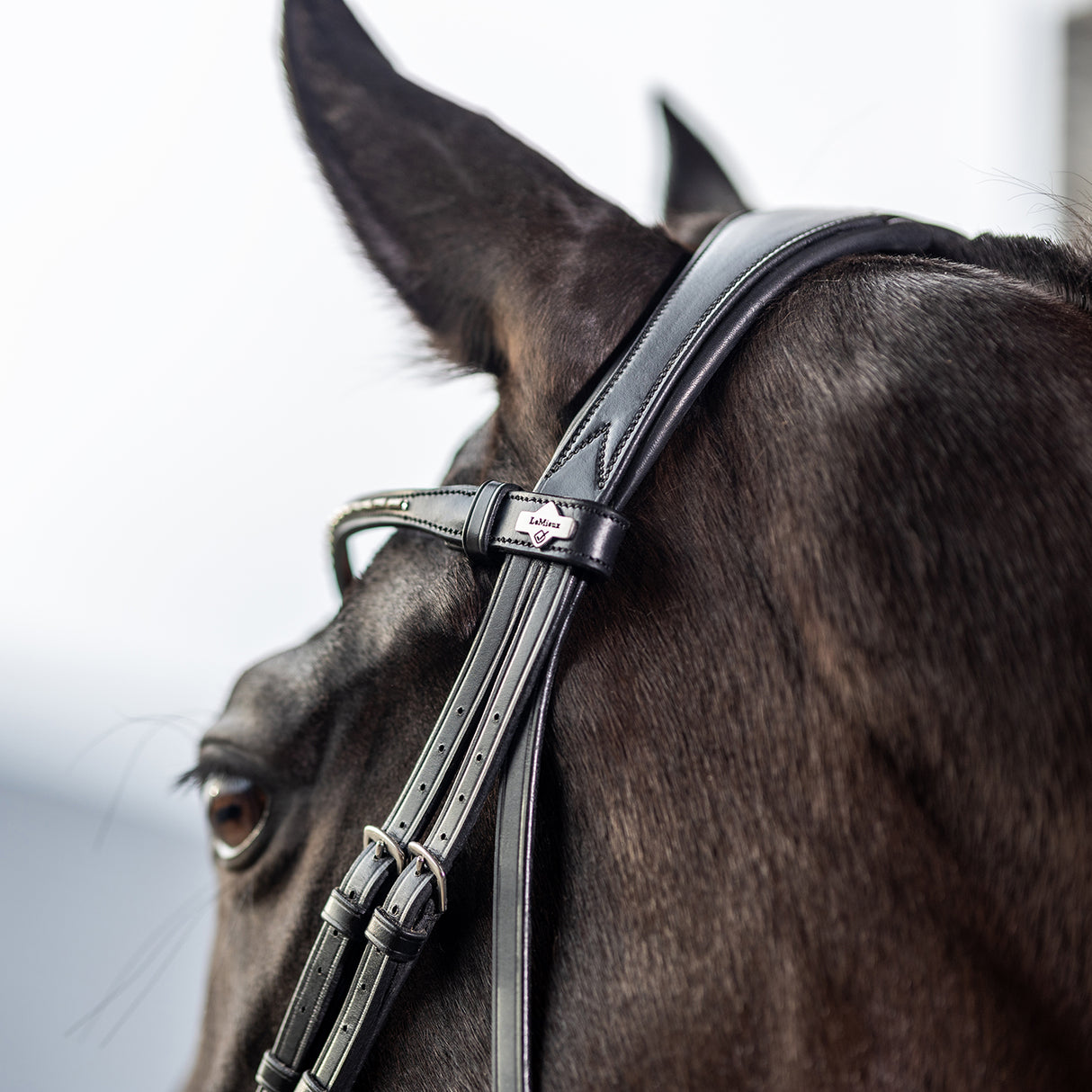 Bride de dressage classique LeMieux Kudos