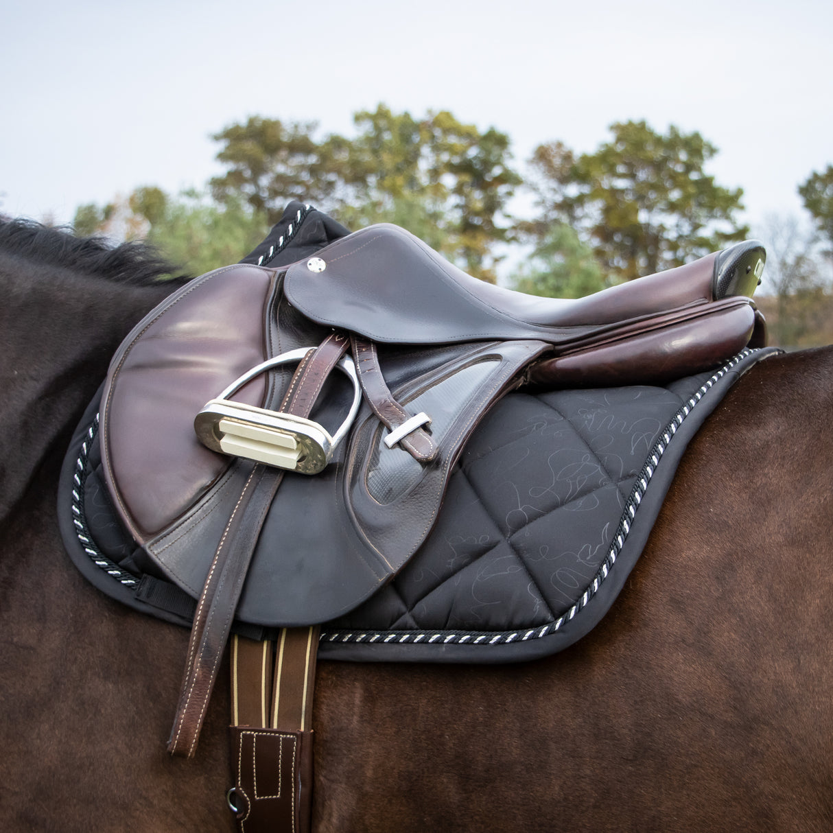 Shedrow Onyx Saddle Pad