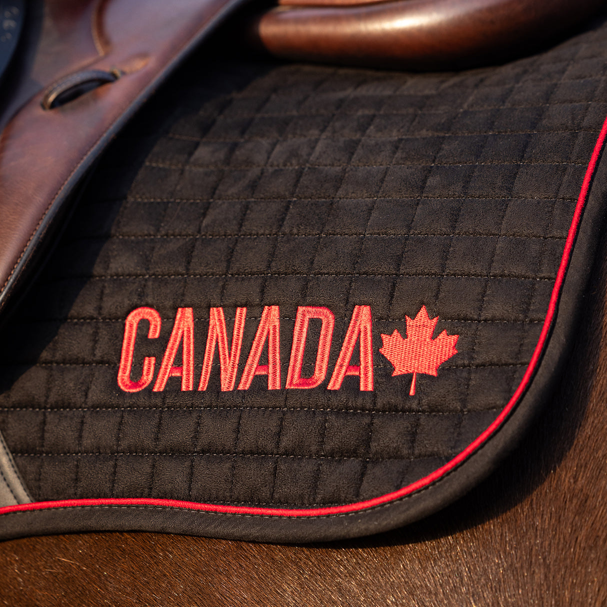 LeMieux iCAN Close Contact Saddle Pad