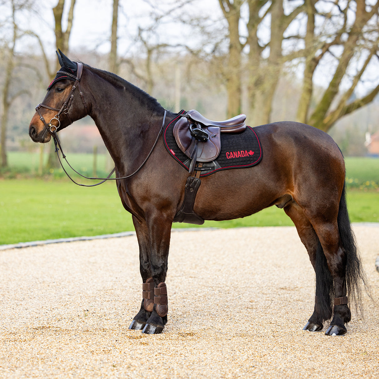 LeMieux iCAN Close Contact Saddle Pad