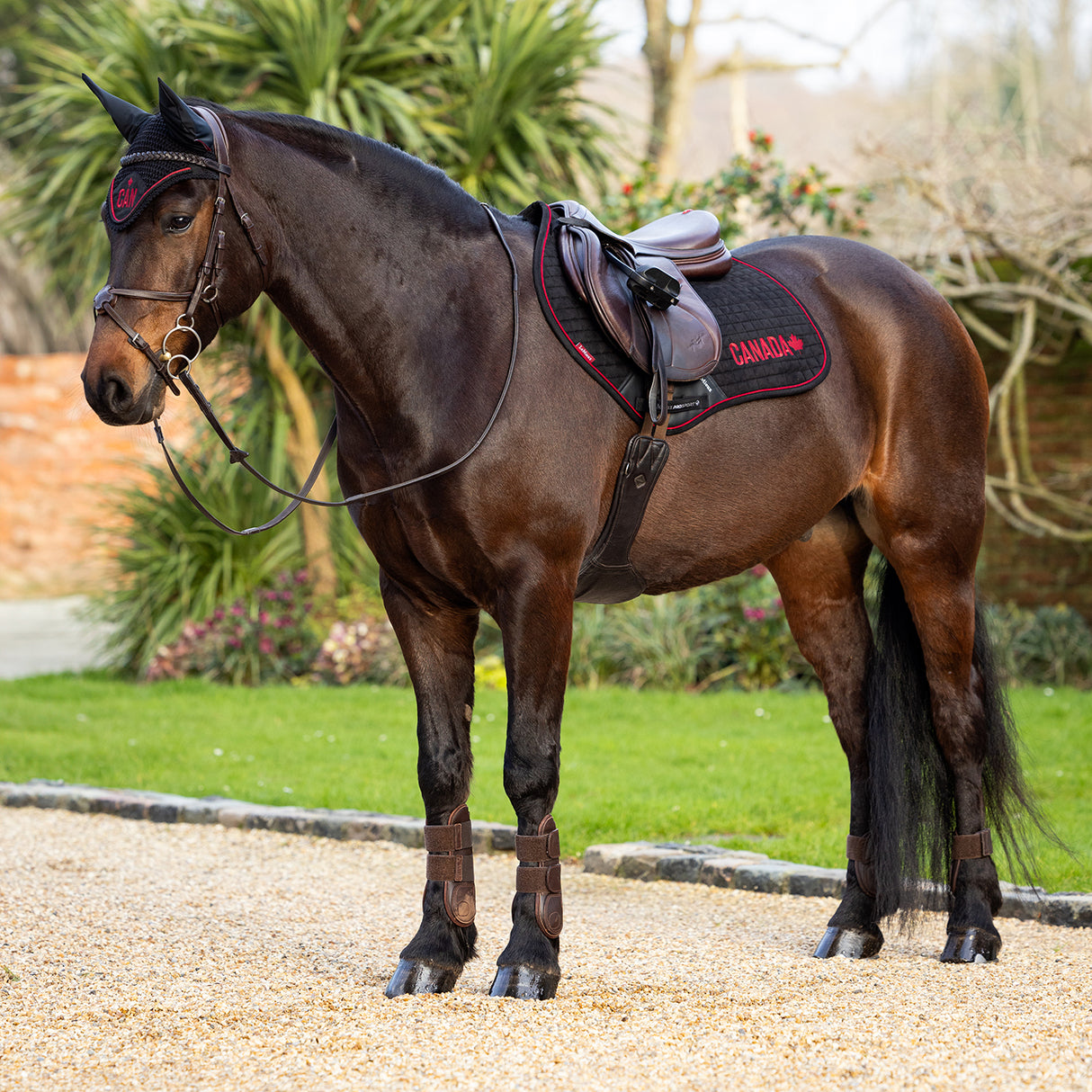 LeMieux iCAN Close Contact Saddle Pad