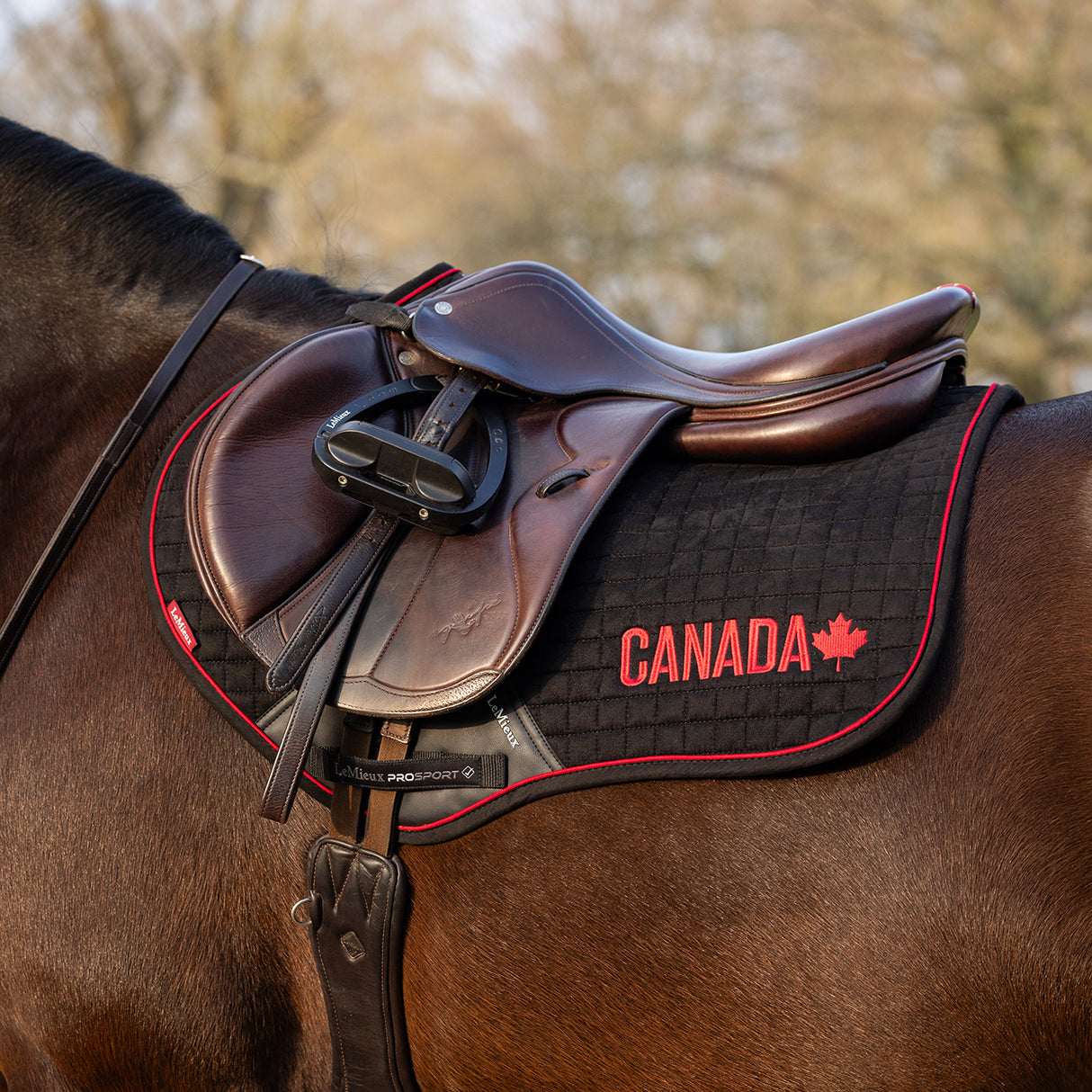 LeMieux iCAN Close Contact Saddle Pad