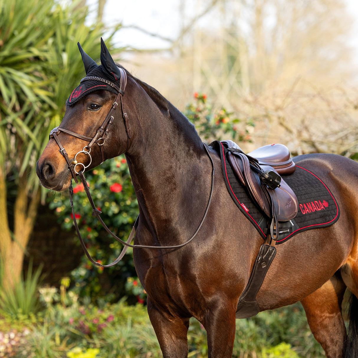 LeMieux iCAN Close Contact Saddle Pad