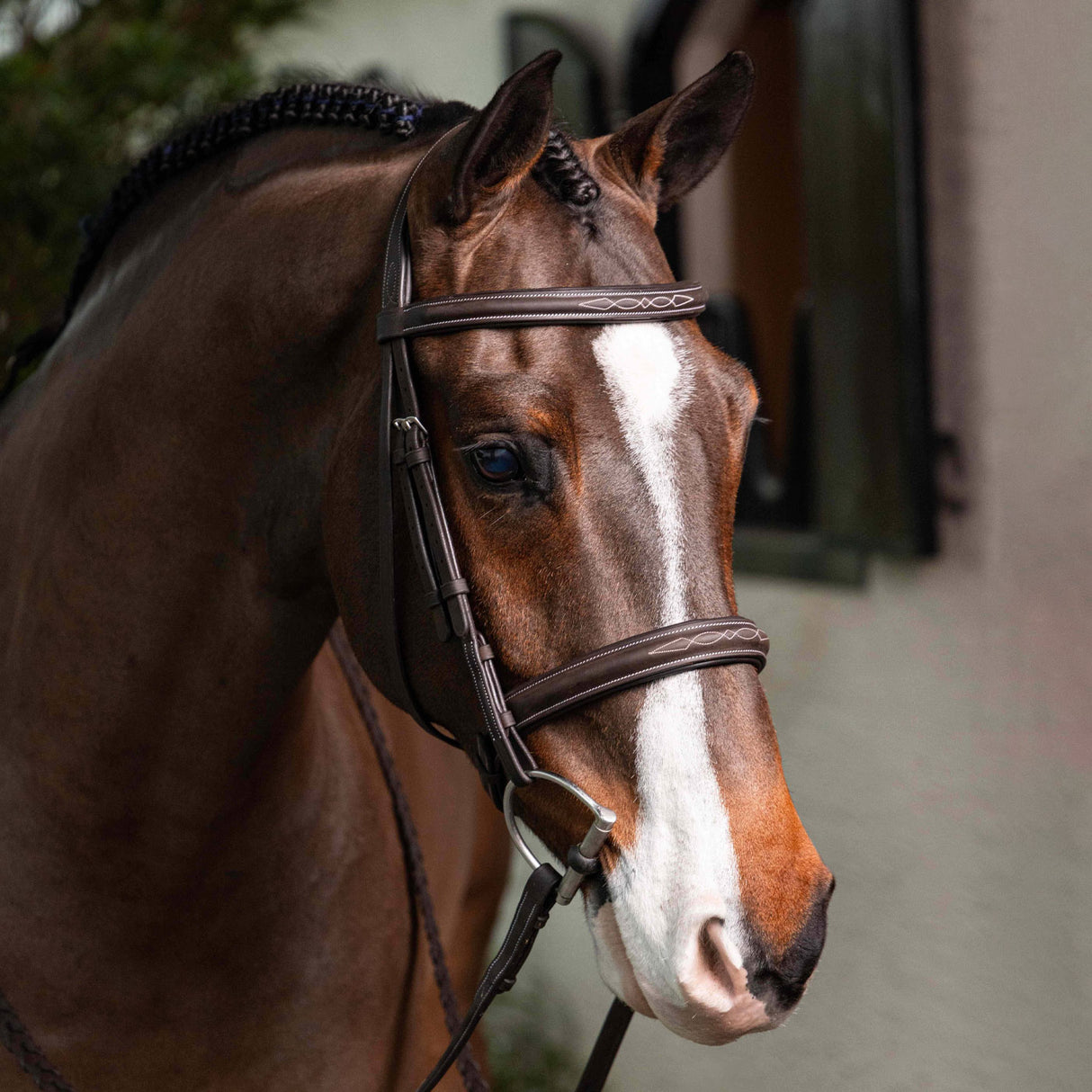 Bride de chasse LeMieux avec rênes