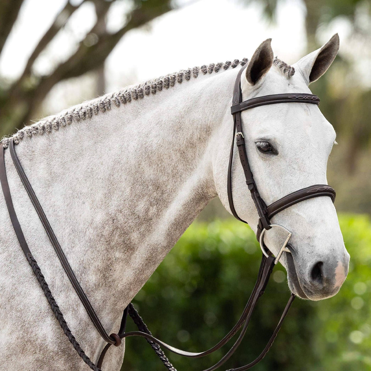 Bride de chasse LeMieux avec rênes