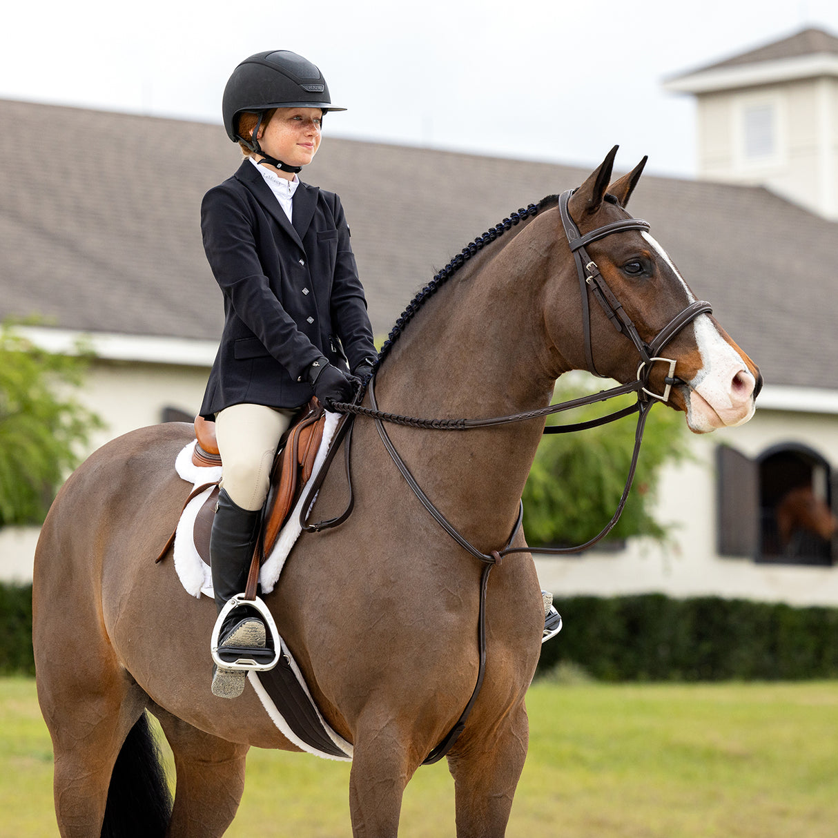 Martingale debout LeMieux Hunter