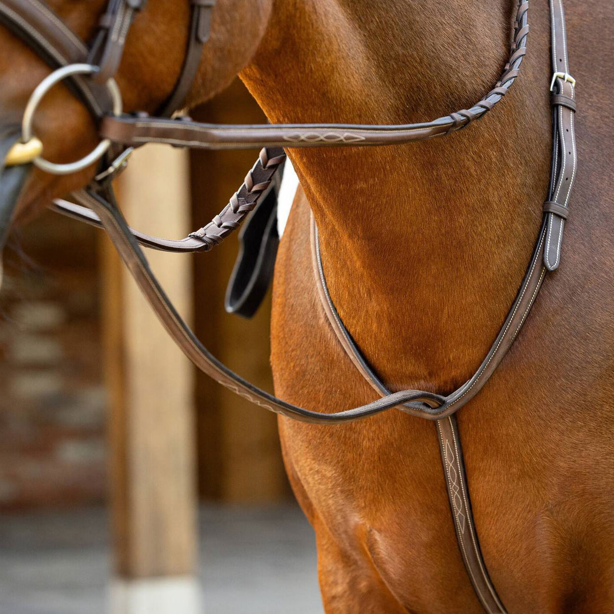 Martingale debout LeMieux Hunter