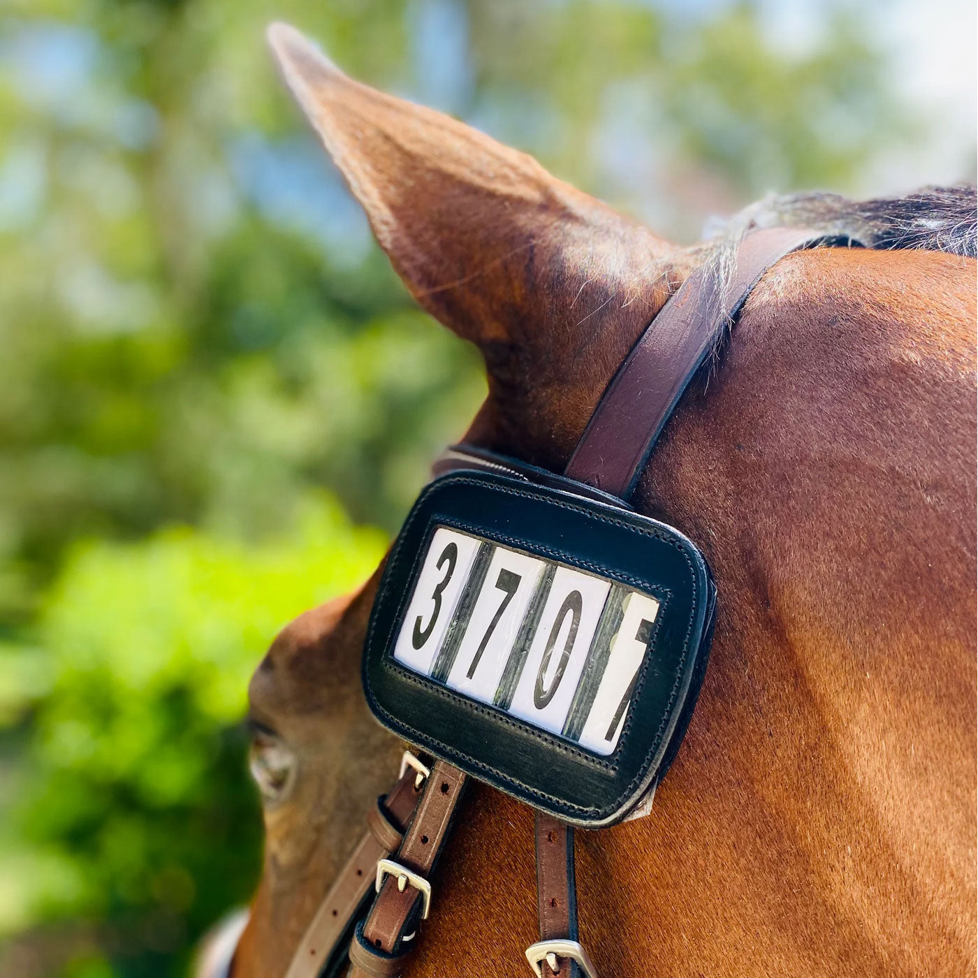 Porte-numéro Ace Equestrian - Paquet de 2